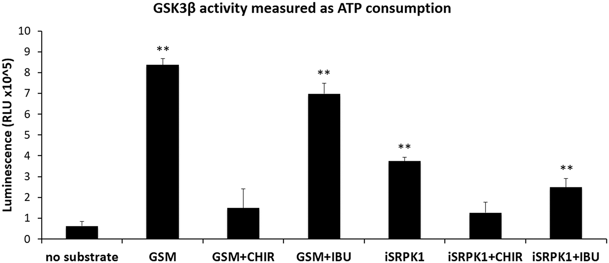 Effect of ibuprofen treatment on GSK3β catalytic activity
