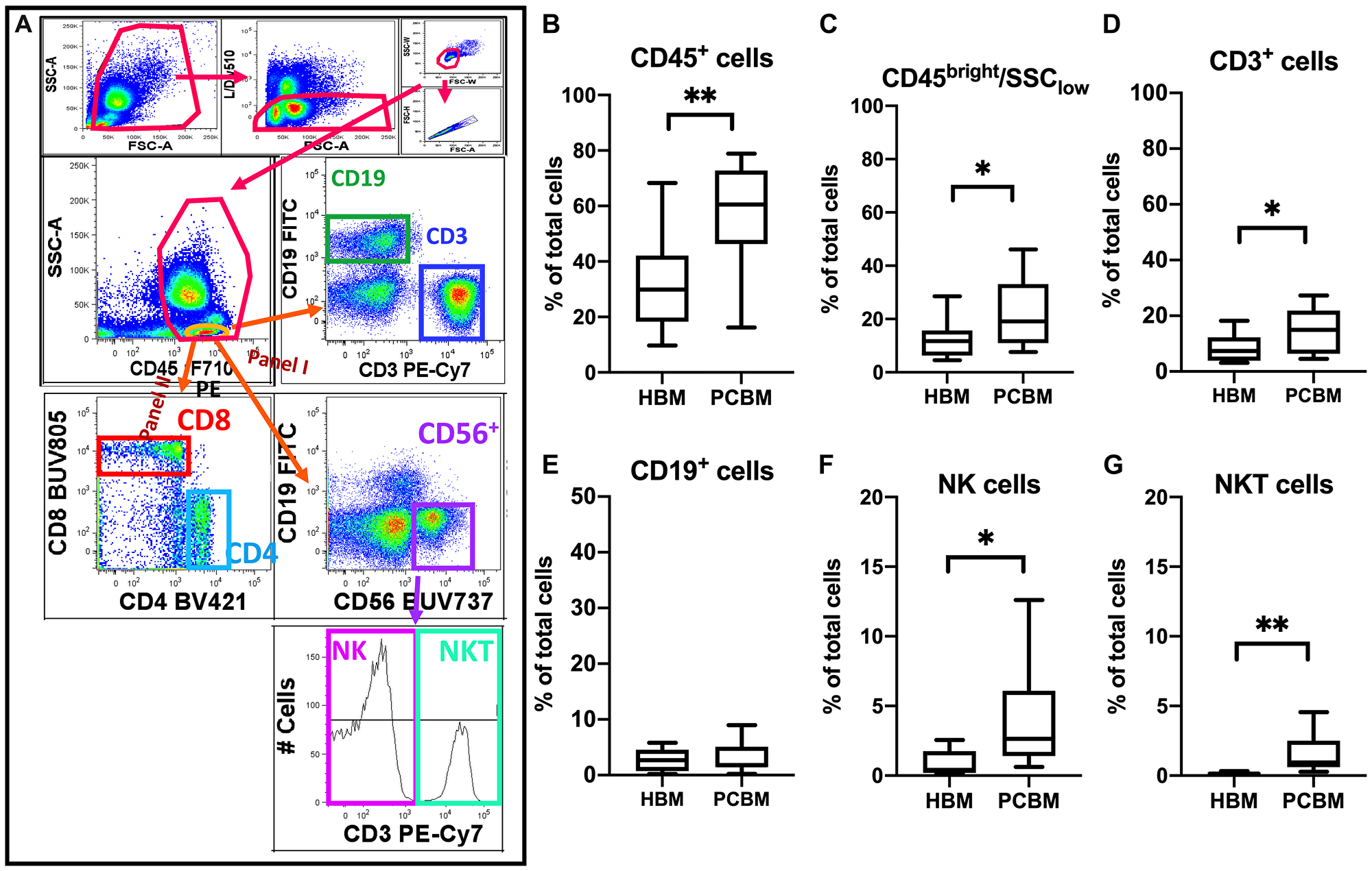 Flow cytometry analysis of lymphoid cellular subsets in BM aspirates