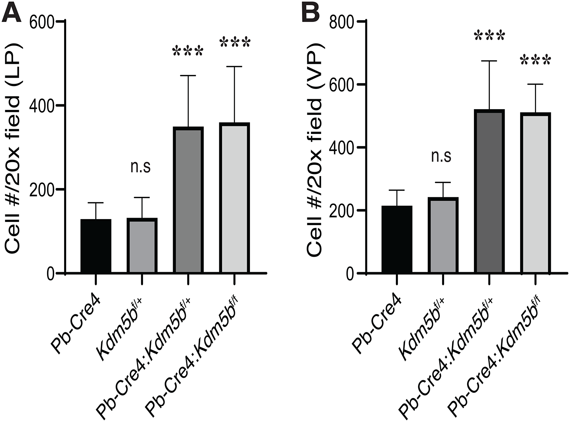 Kdm5b deficiency causes increased cellularity in the mouse prostates