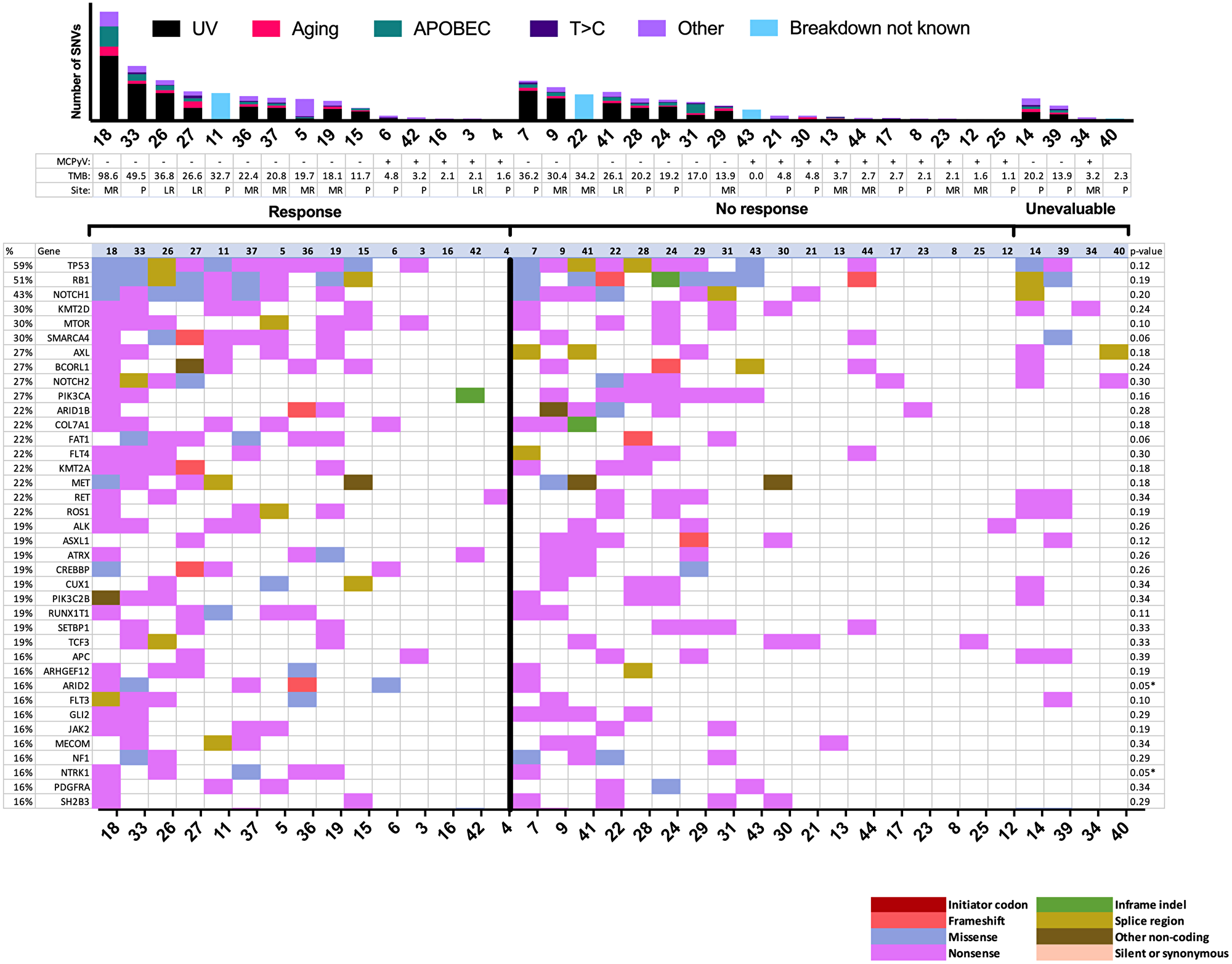 Mutational landscape by response to immune checkpoint inhibitor