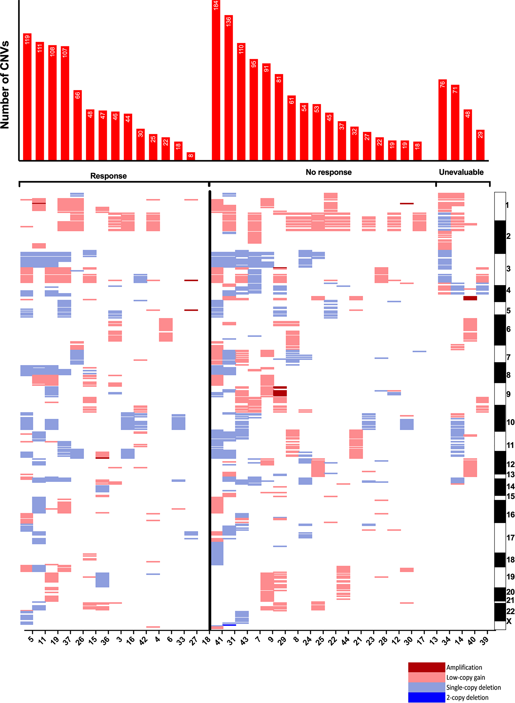 Copy-number variants by response to immune checkpoint inhibitor