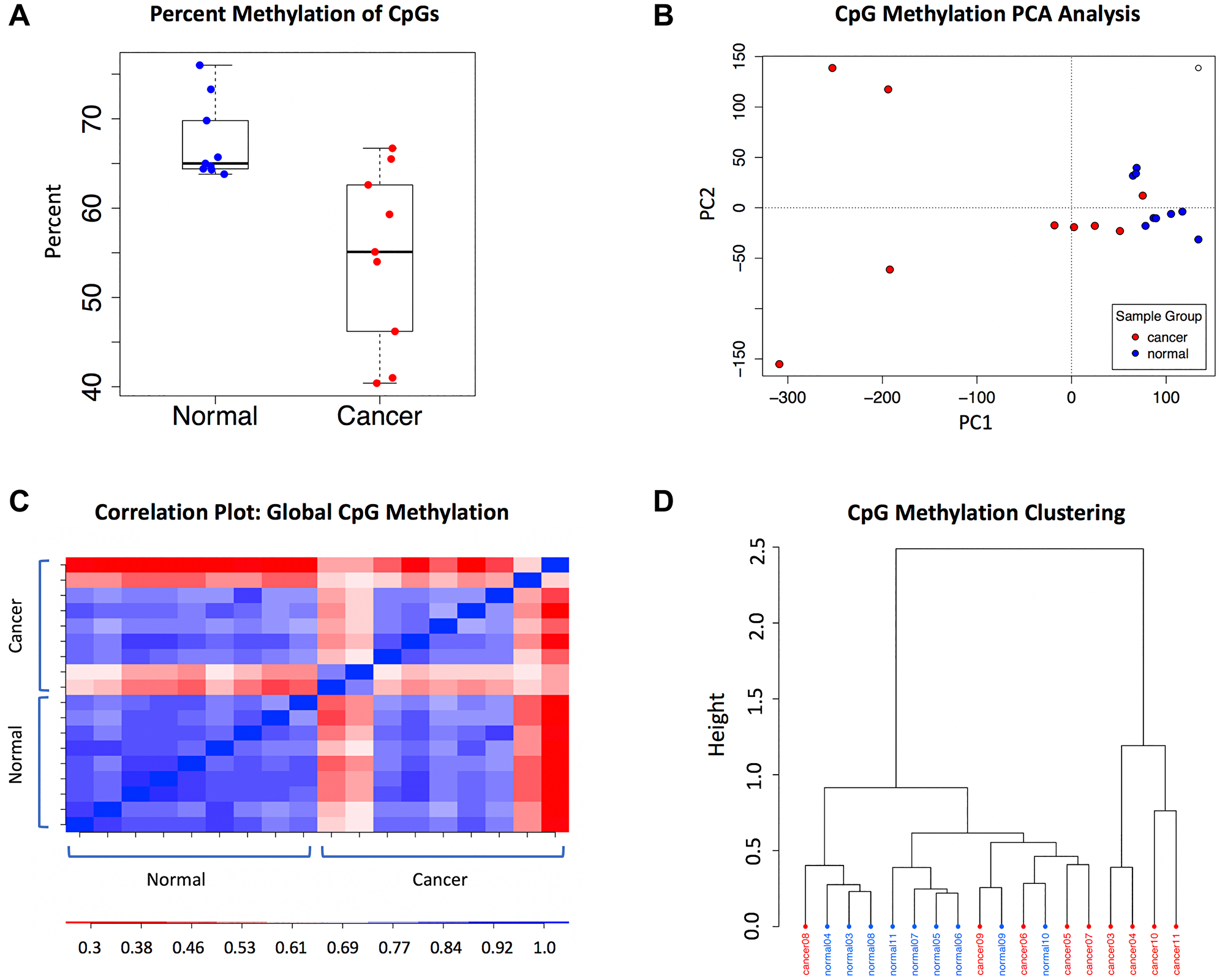 Global methylation characteristics in the WGBS dataset