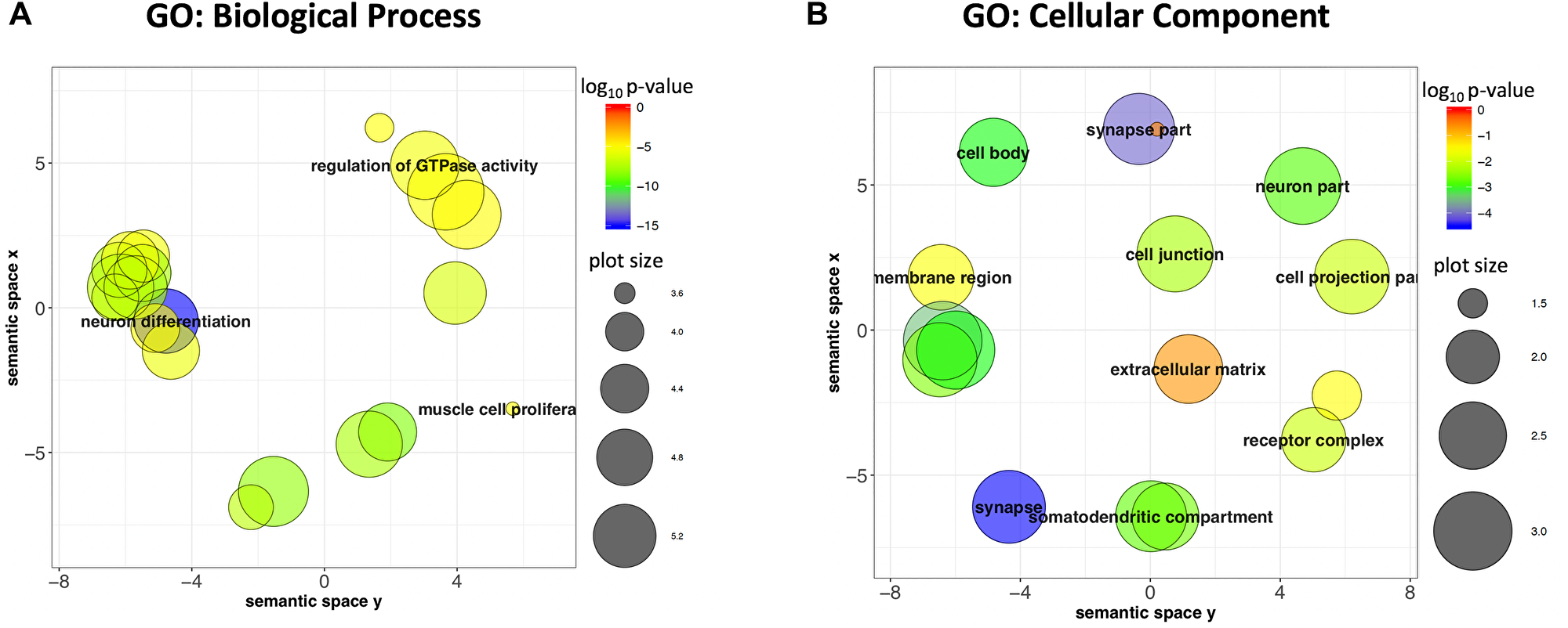 Genes closest to or overlapping target regions are enriched for Neuronal genes