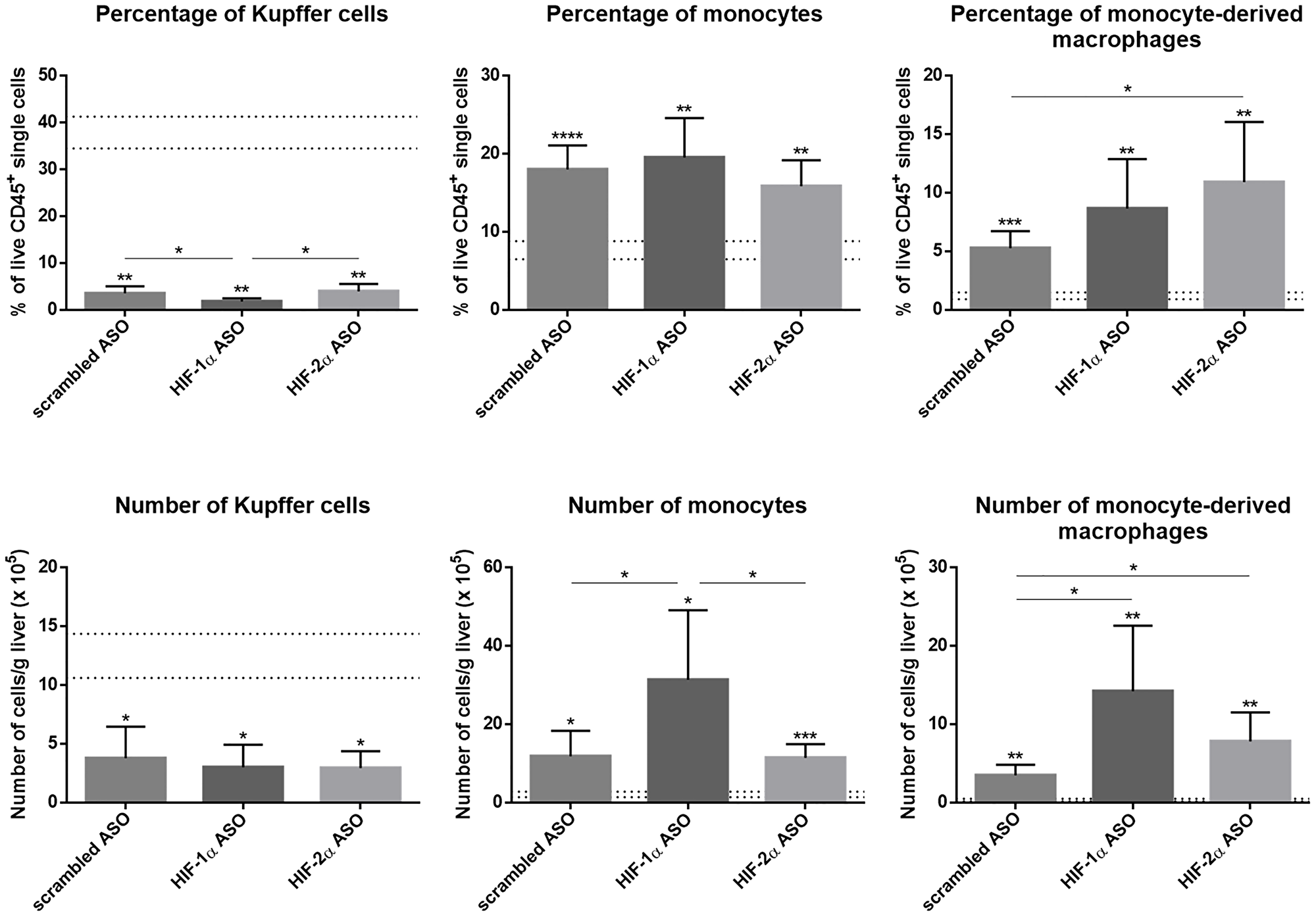 Effect of therapeutic HIF-1α and HIF-2α ASO treatment on hepatic macrophage pool in DEN-induced HCC mice