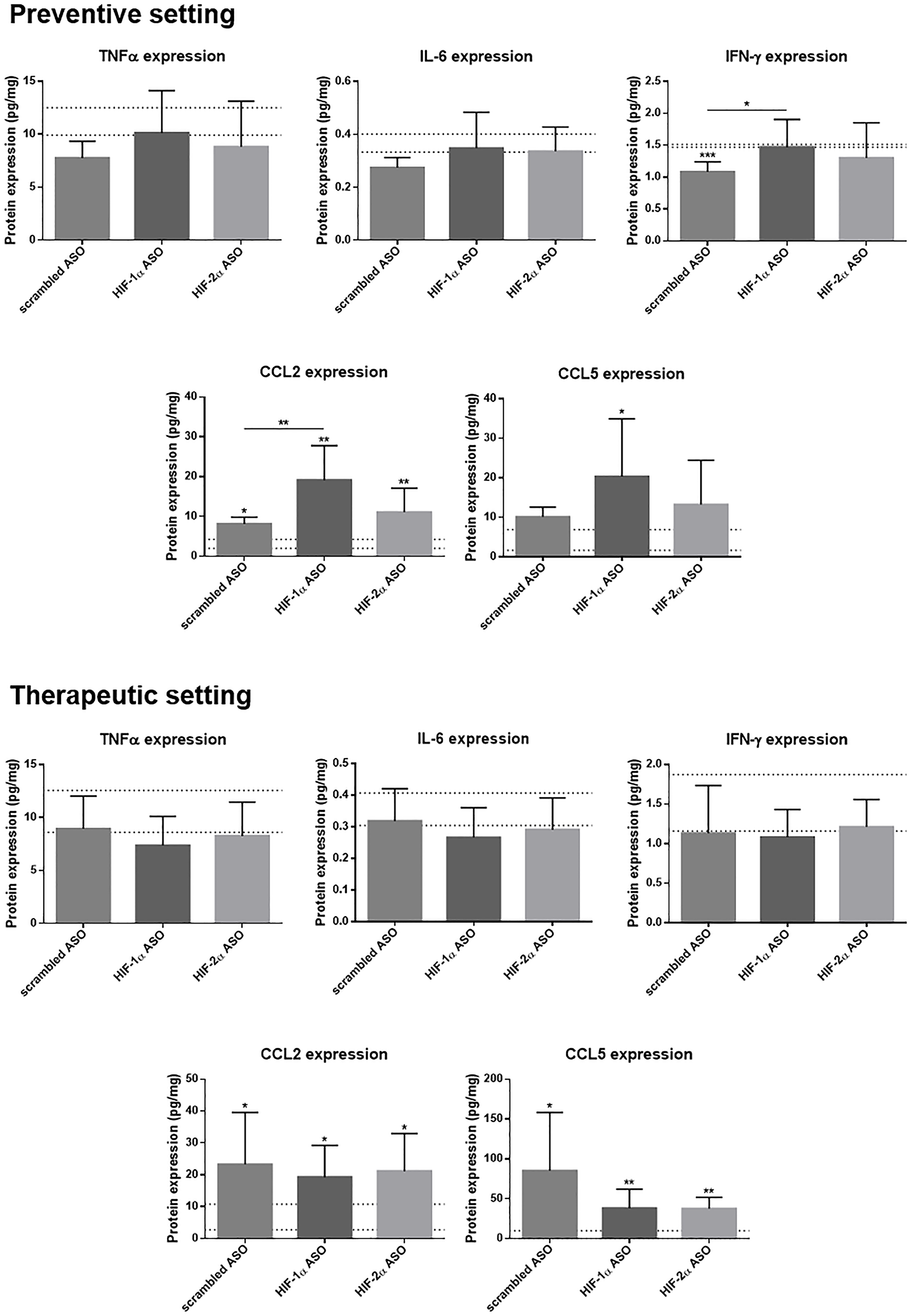 Effect of preventive and therapeutic HIF-1α and HIF-2α ASO treatment on hepatic protein expression of inflammatory markers in DEN-induced HCC mice