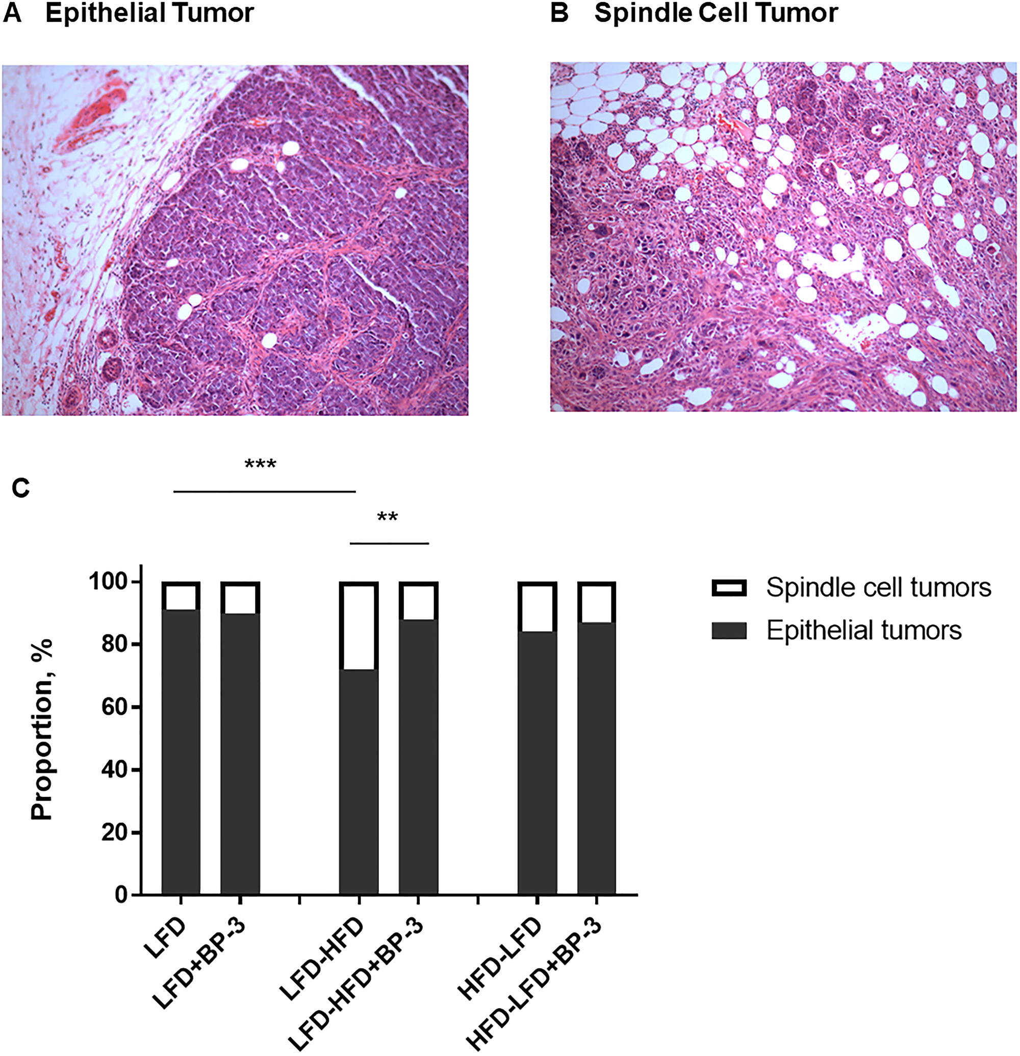 BP-3 increased the proportion of epithelial tumors in mice fed an adult-restricted HFD