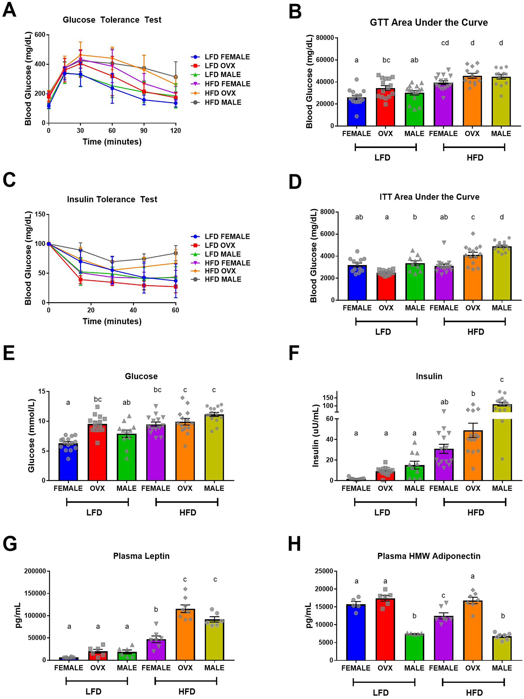 Impaired metabolic function following high-fat diet feeding