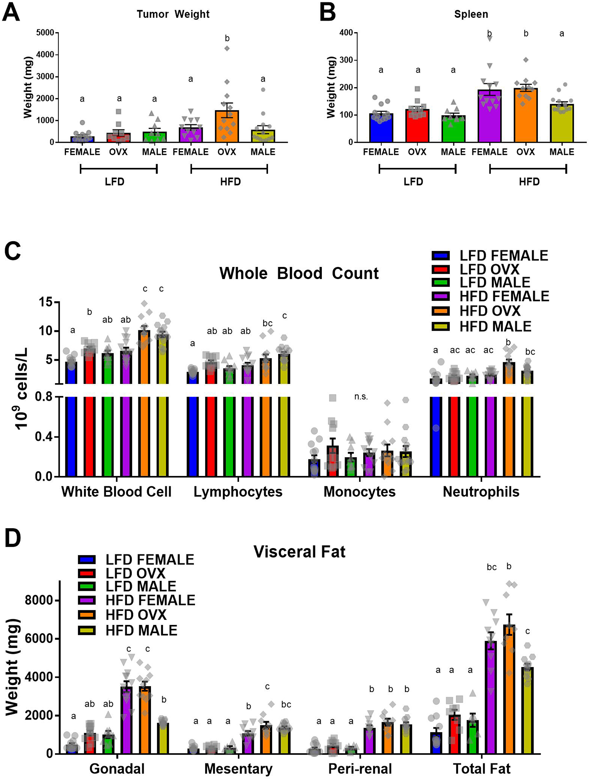 High-fat diet feeding increased MC38 tumor weight (A) Tumor weight (B) Spleen weight. (C) Complete blood count of immune cells in whole blood. (D) Weight of visceral adipose depots; total fat equals the sum of gonadal, mesentery and peri-renal weights. Values are mean ± SE; n = 8–15 mice per group. Bar graphs not sharing a common letter are significantly different from one another (p ≤ 0.05).