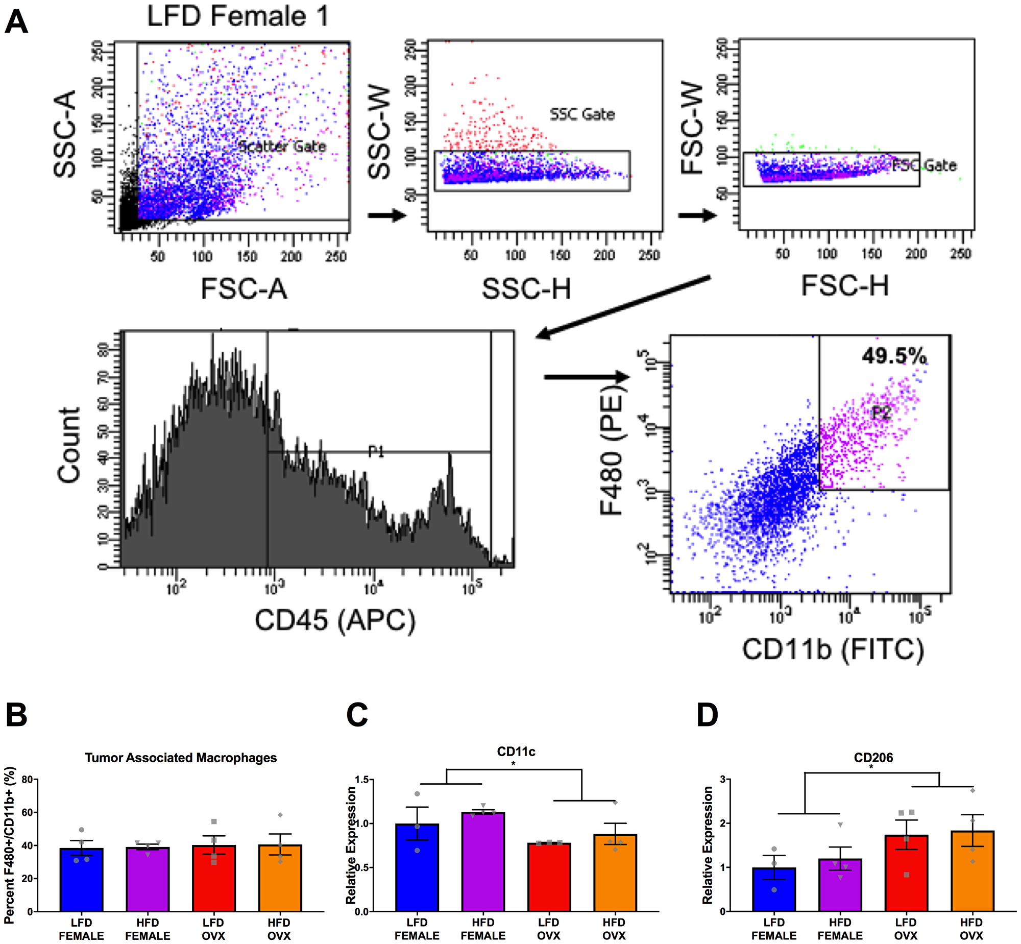 Differential tumor-associated macrophage phenotype in female and OVX mice