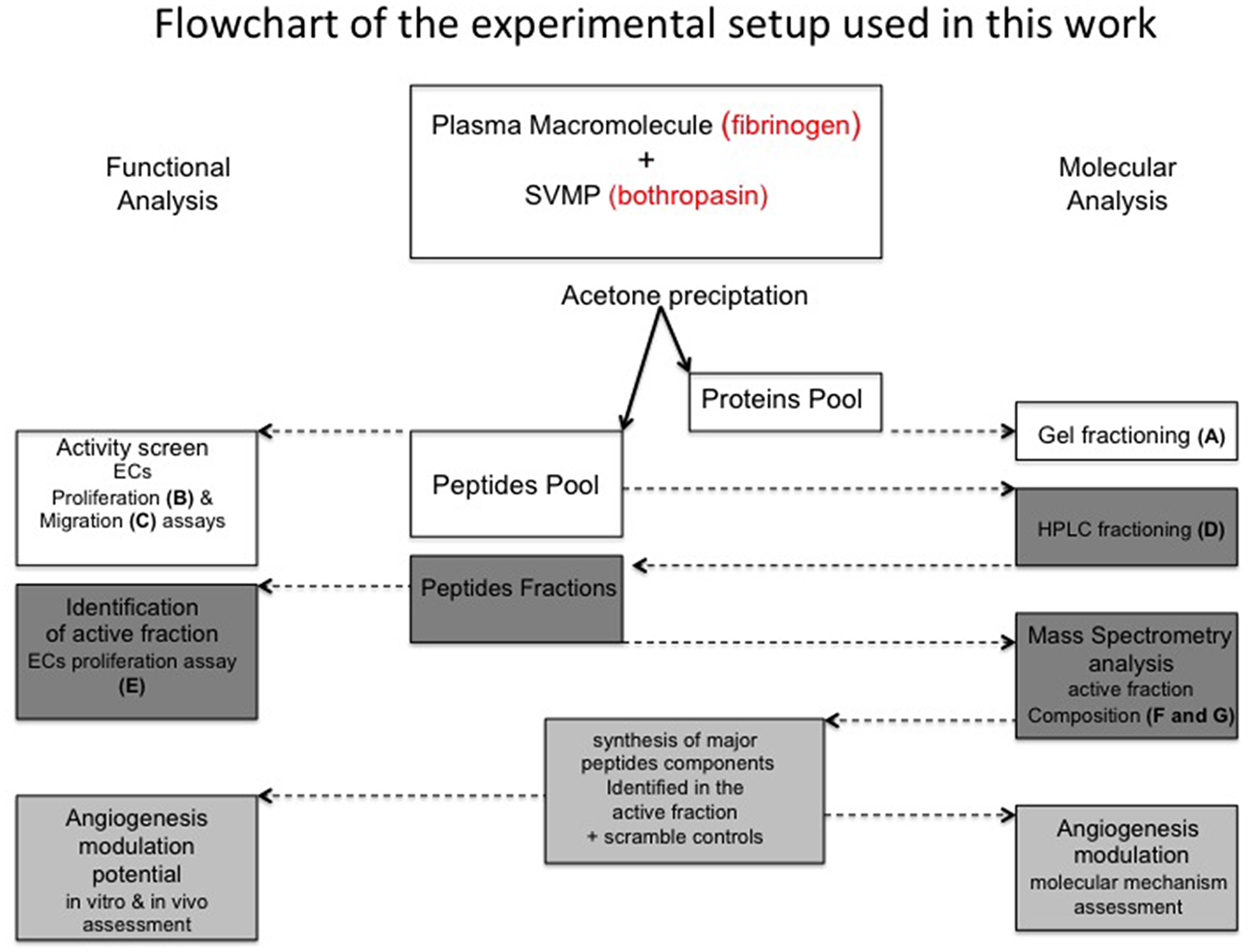Flowchart of experimental procedures applied in this work
