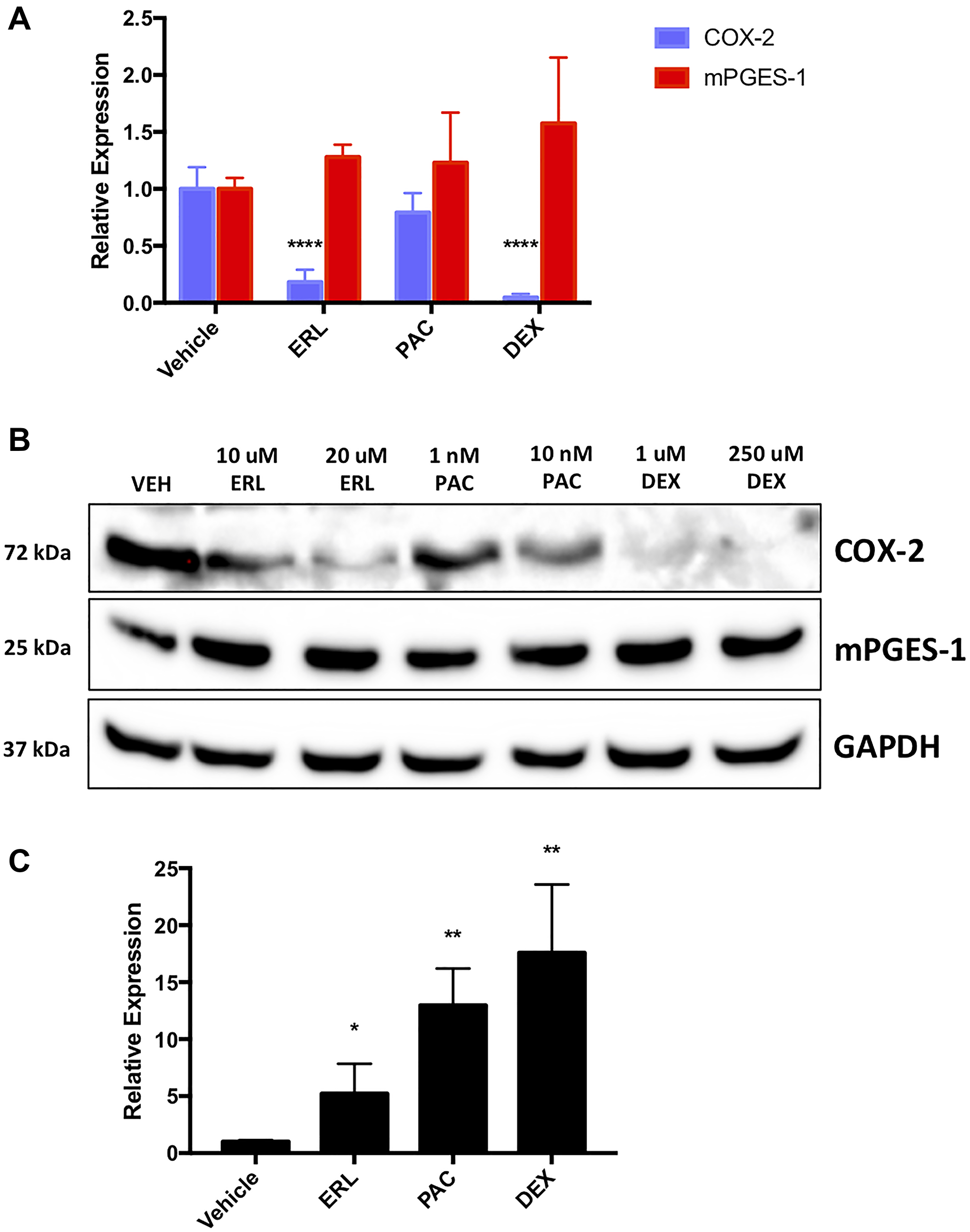 Chemotherapies regulate naïve lung cancer cell COX-2, mPGES-1 and miR-708-5p expression