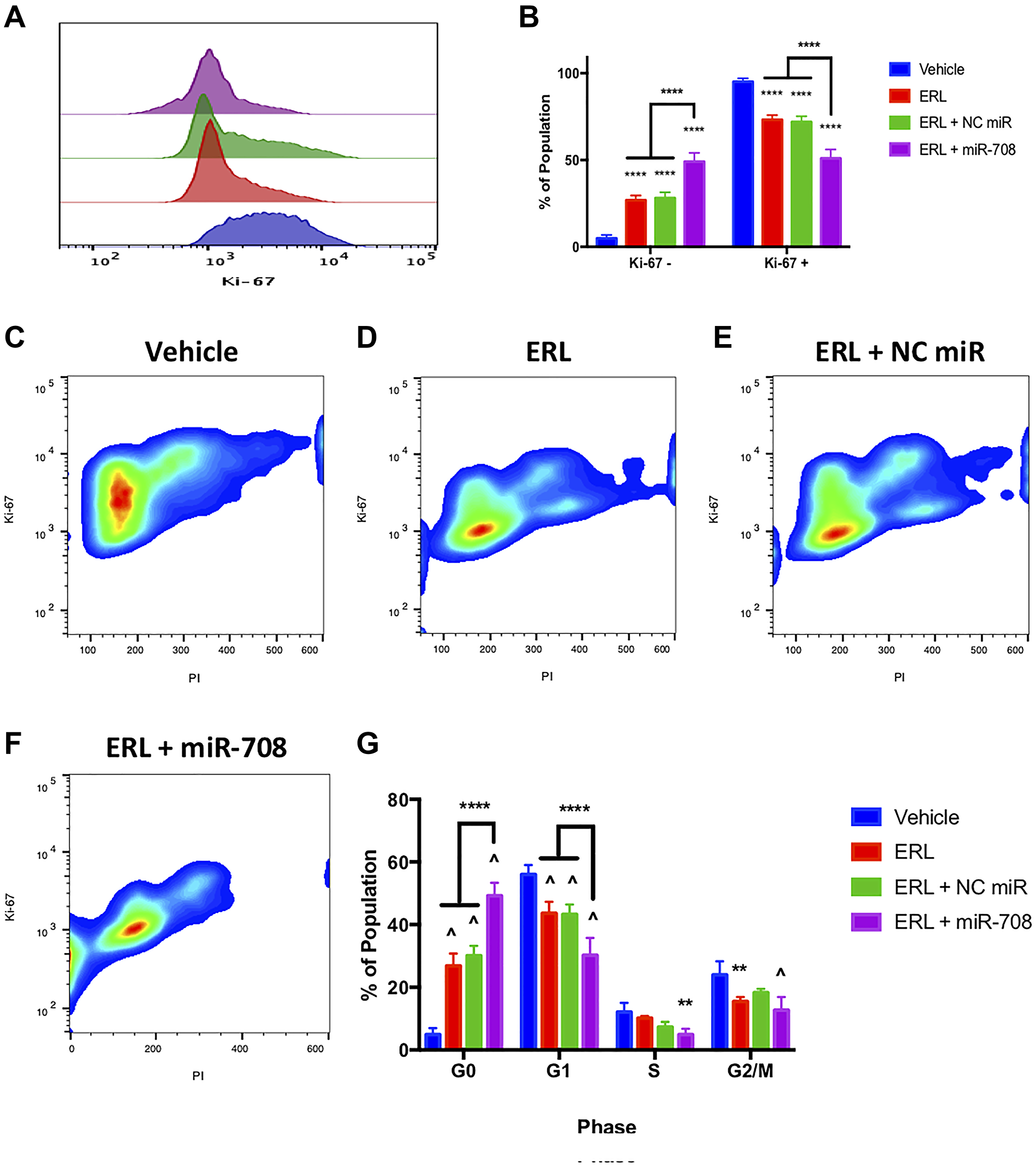 miR-708-5p enhances anti-proliferative effects of ERL in lung cancer cells
