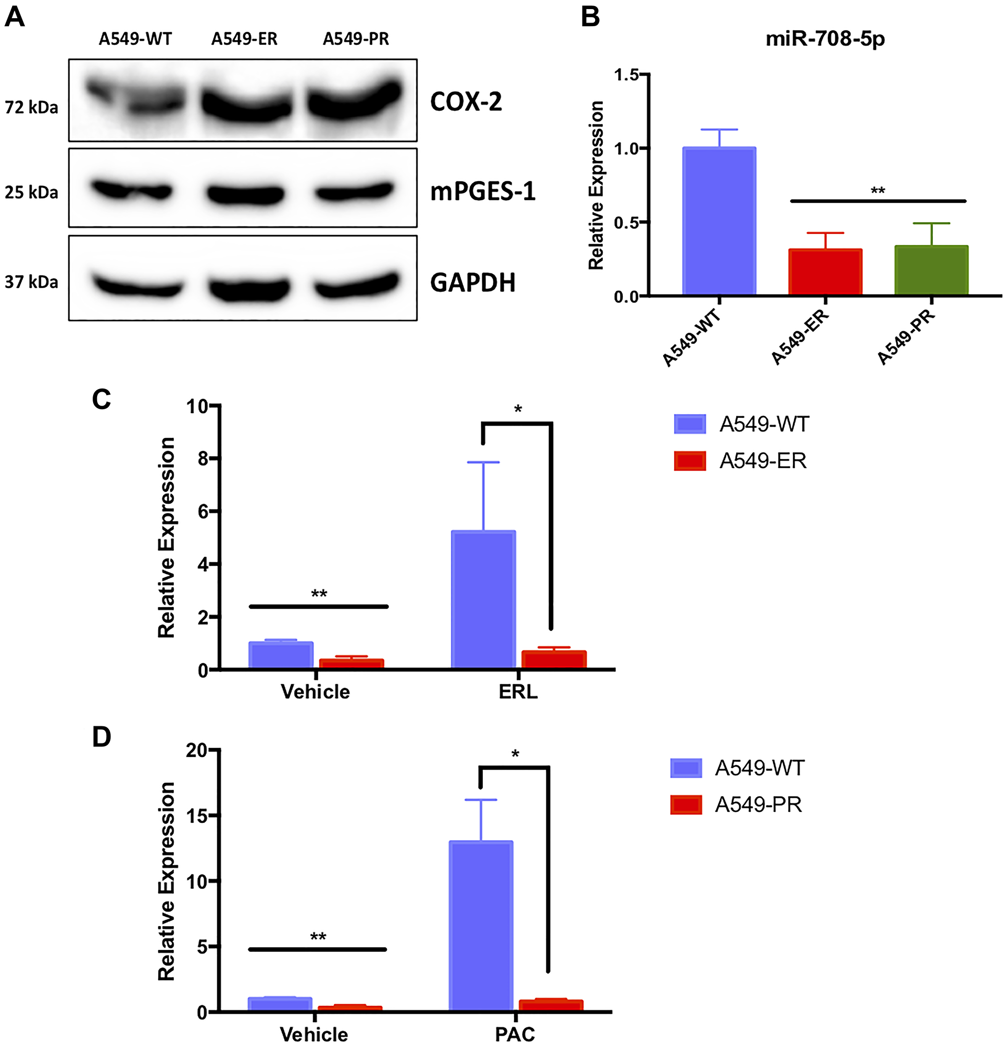 A549-ER and A549-PR cells have altered miR-708-5p and AA pathway expression