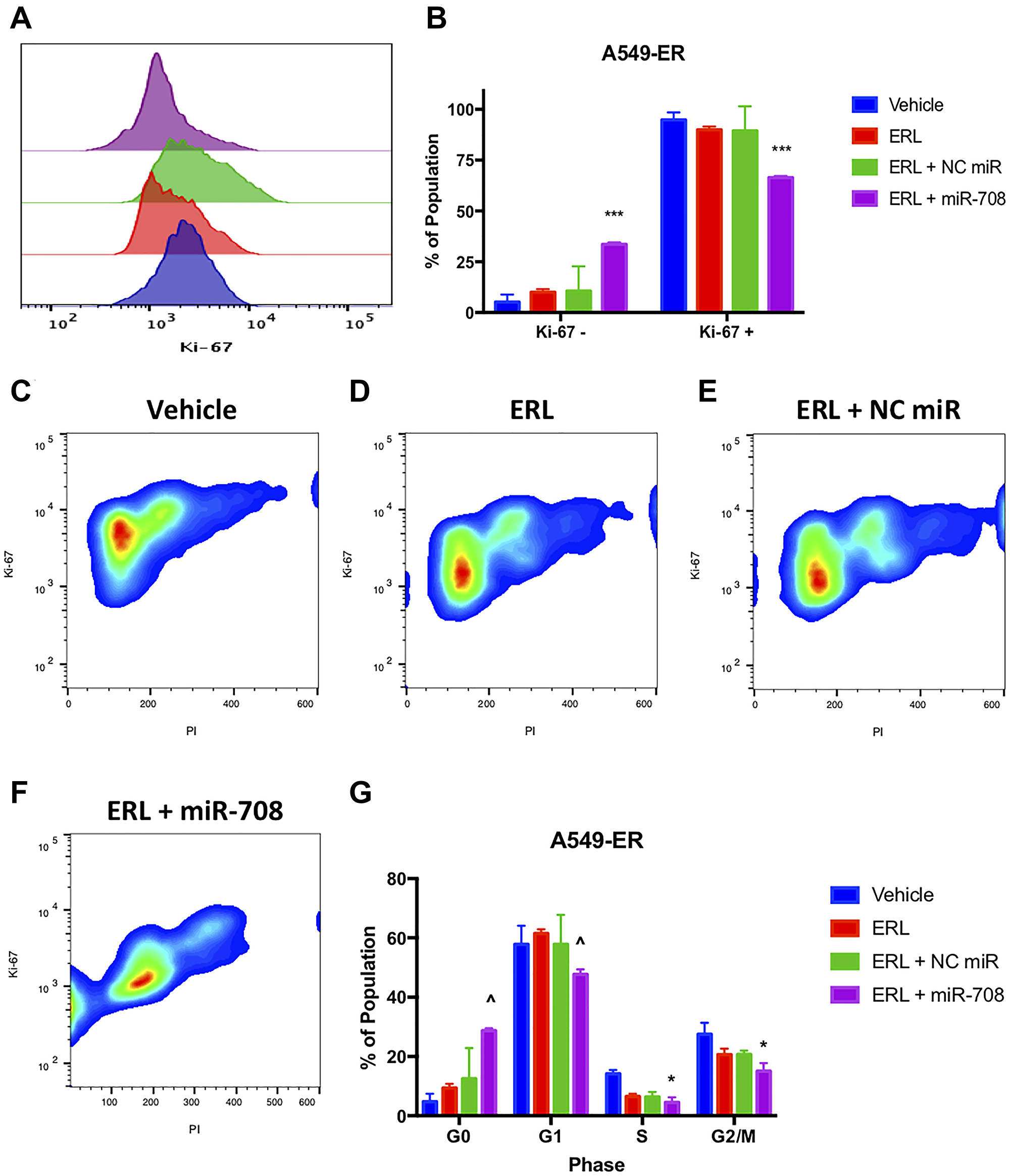 miR-708-5p + ERL reduces Ki-67+, G0