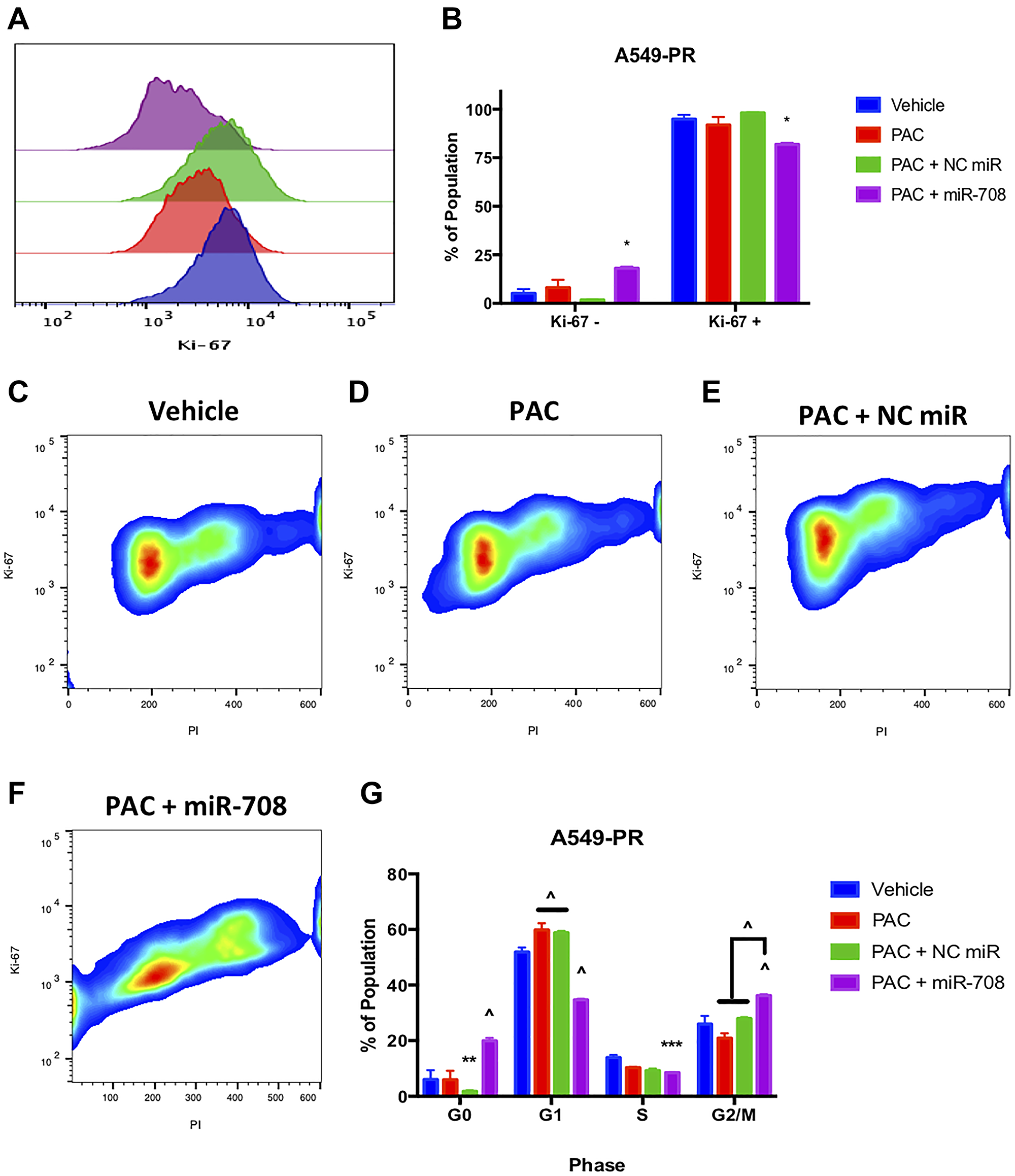 miR-708-5p + PAC reduces Ki-67+, G0 →
