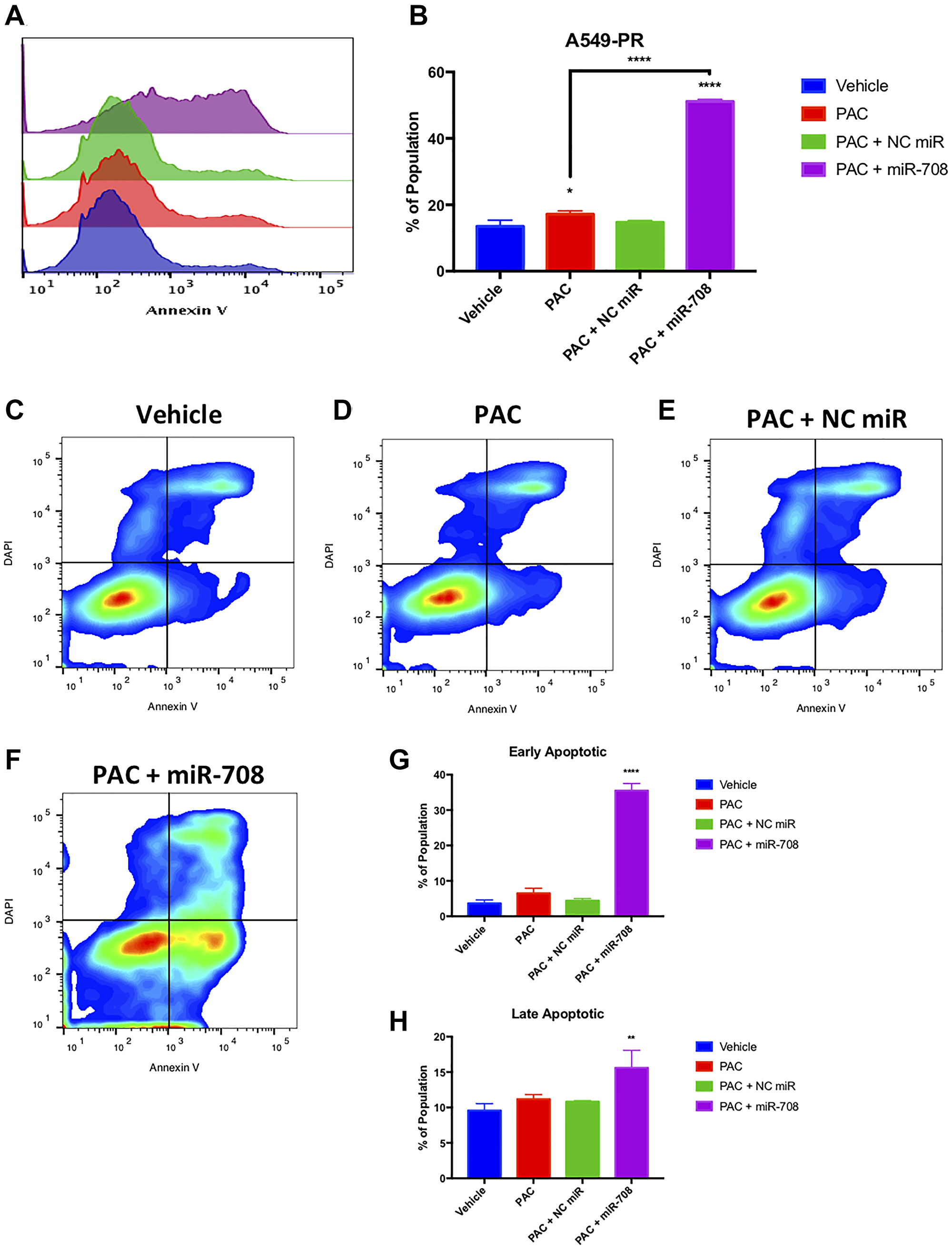 Combinatory miR-708-5p + PAC treatment induces apoptosis in A549-PR cells