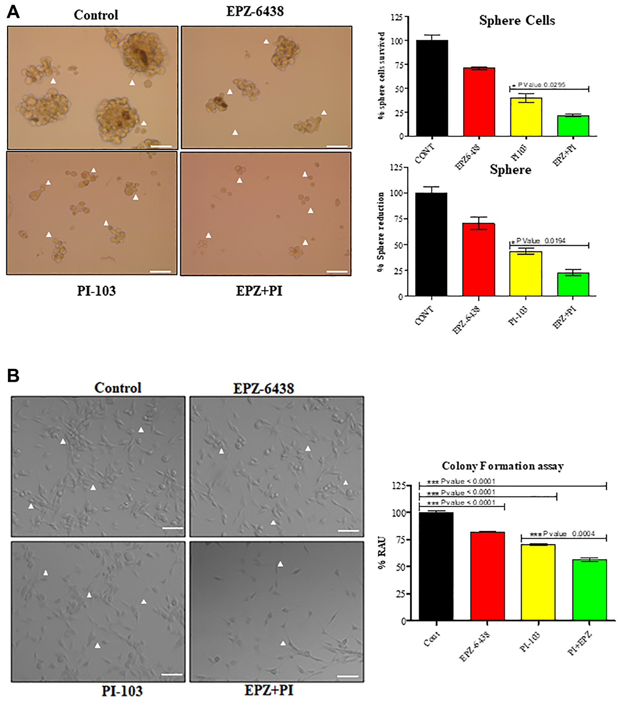 EPZ-6438 and PI-103 combination affect the stemness properties of GBM U-87 cells
