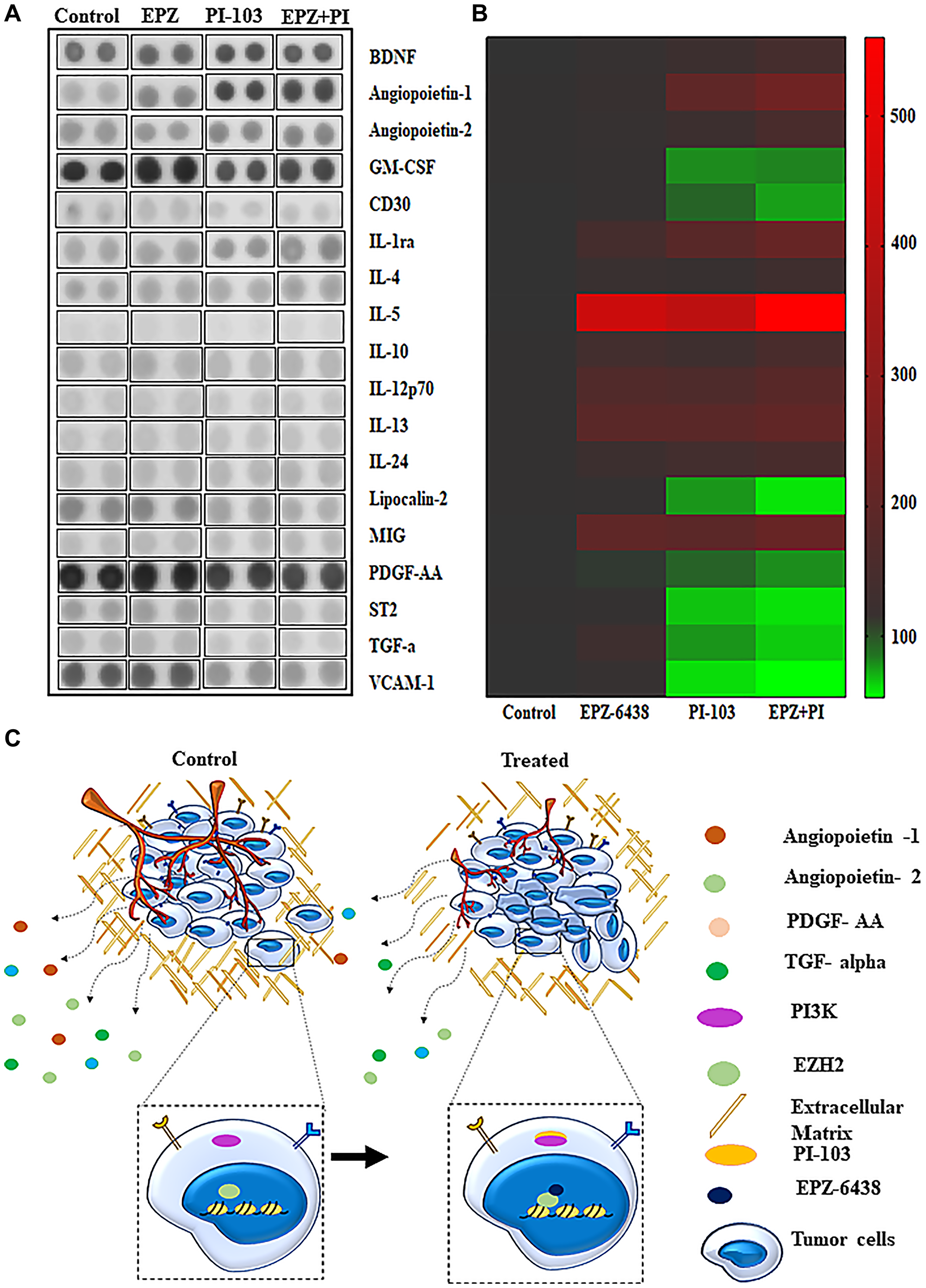 Cytokine analysis explain the key proteins involved in tumor progression