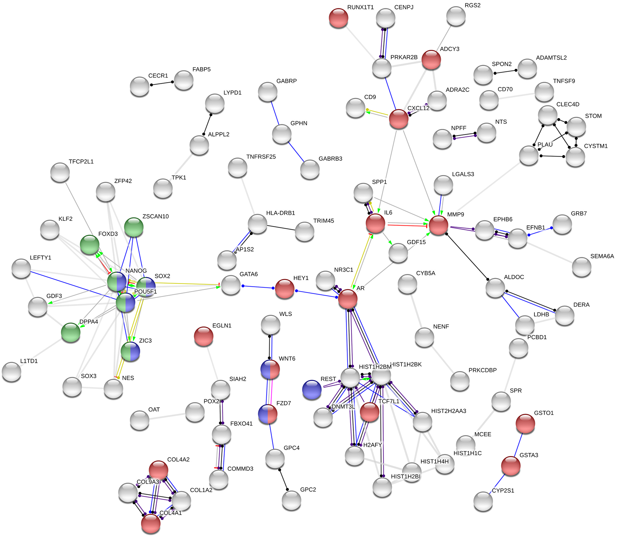 Association network in STRING