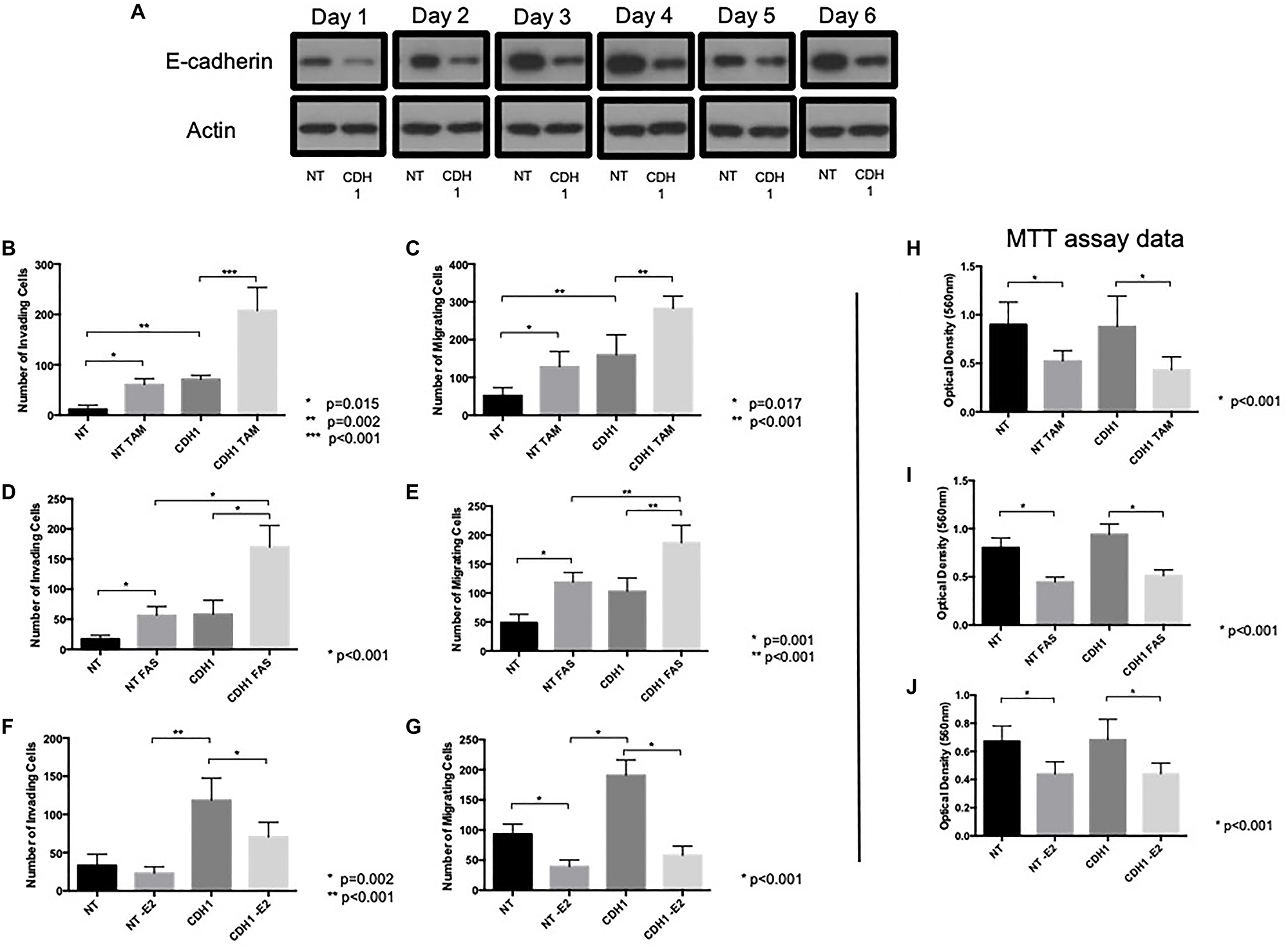 E-cadherin loss augments pro-invasive and pro-migratory actions of tamoxifen and fulvestrant