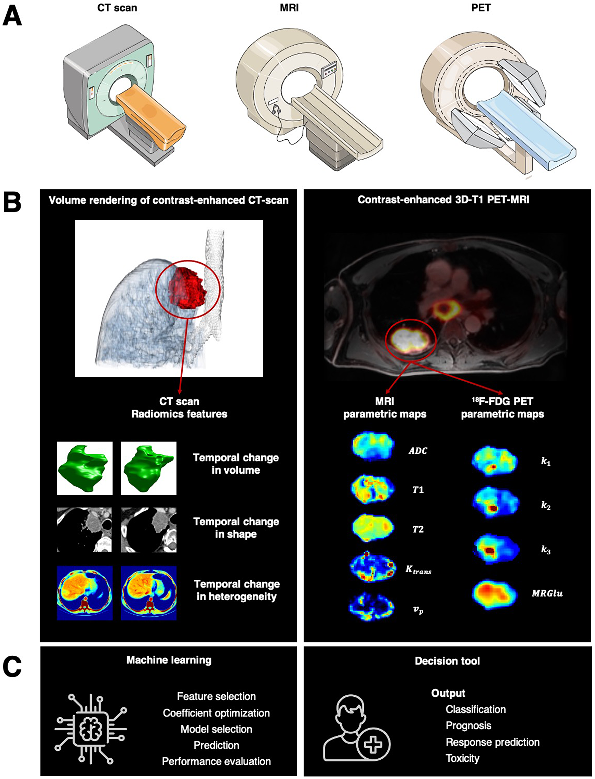 Toward radiomics for assessment of response to systemic therapies in lung cancer
