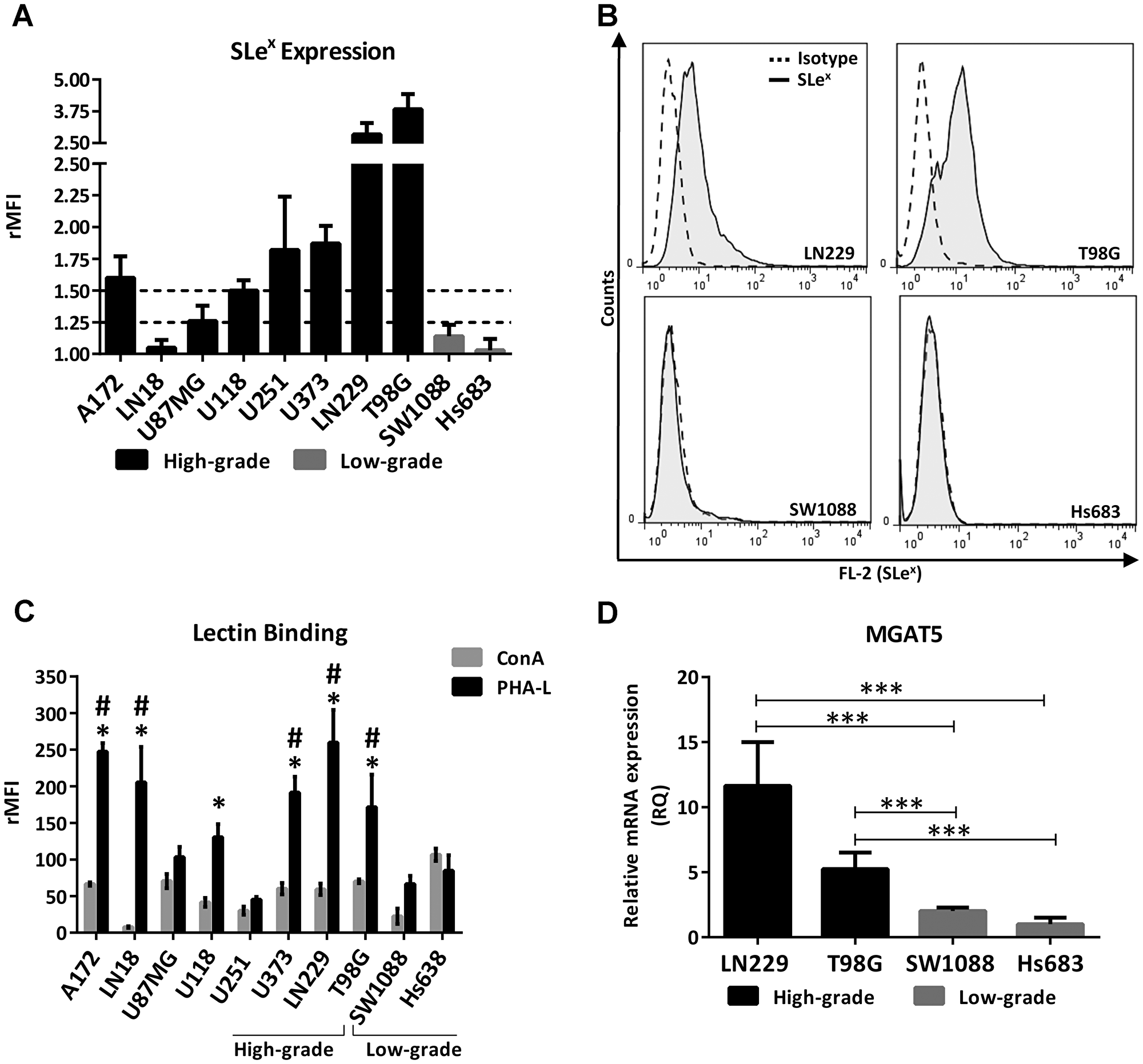 Glycophenotype characterization in high- and low-grade glioma cell lines