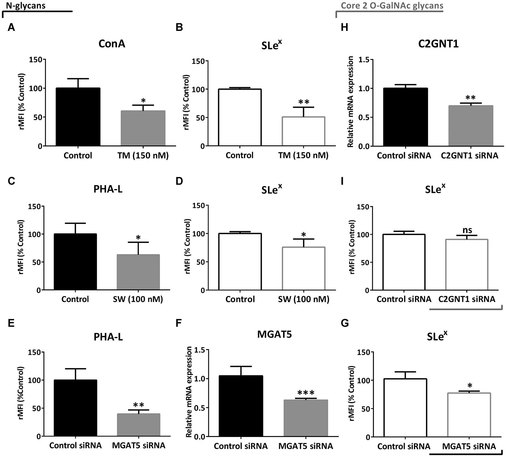 Evaluation of SLex expression under downmodulation of N- and core 2 O-GalNAc glycans in the high-grade glioma cell line LN229 by flow cytometry