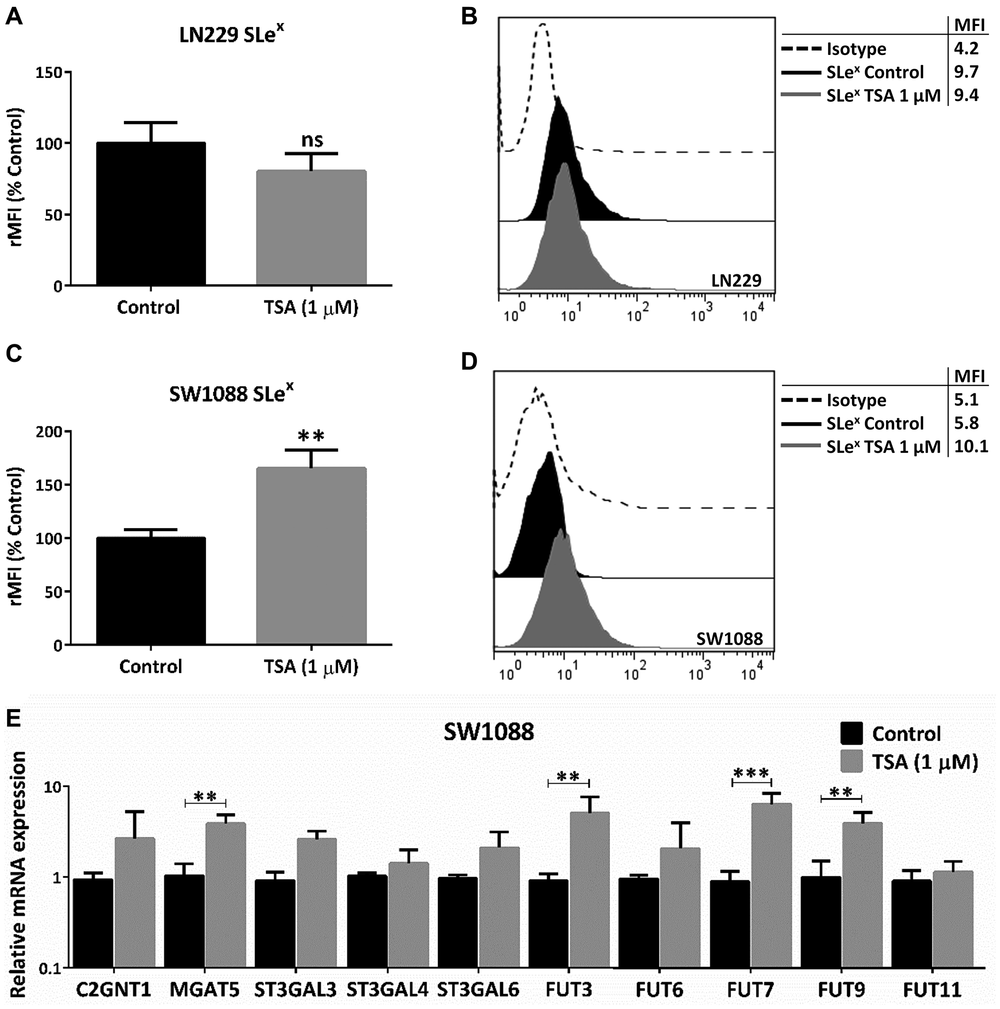 Evaluation of epigenetic regulation in glioma glycophenotype