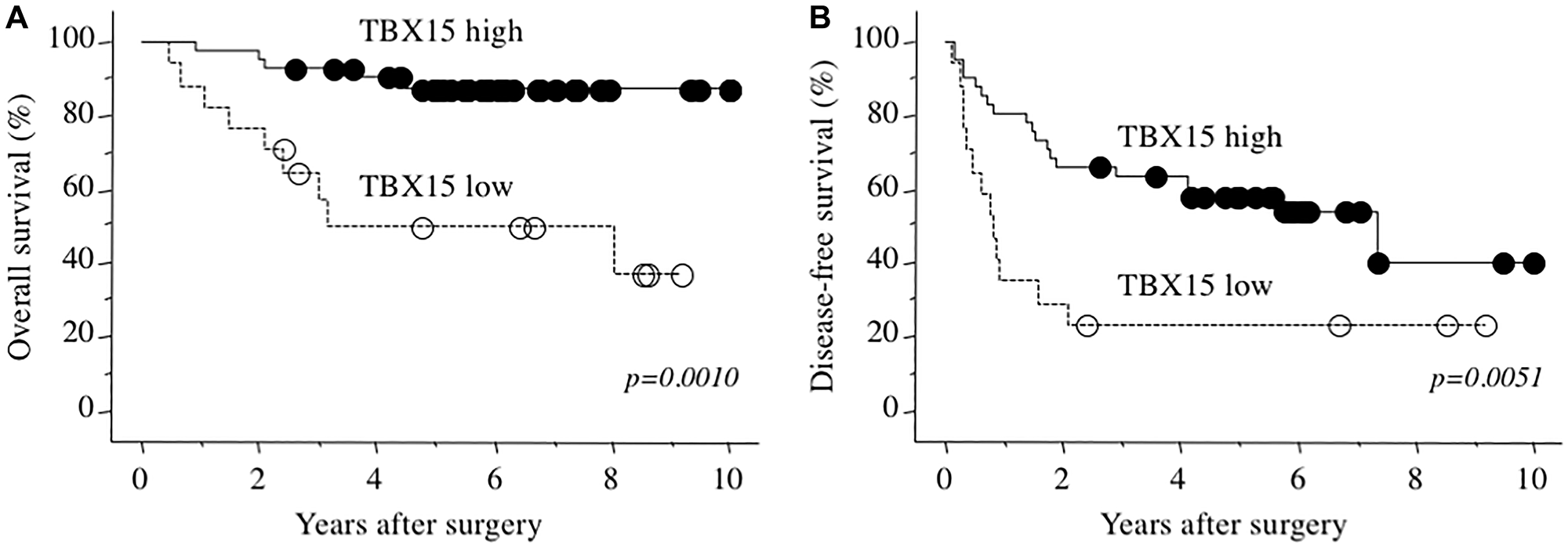 (A) Overall survival as a function of TBX15 mRNA expression. (B) Disease-free survival as a function of TBX15 mRNA expression.