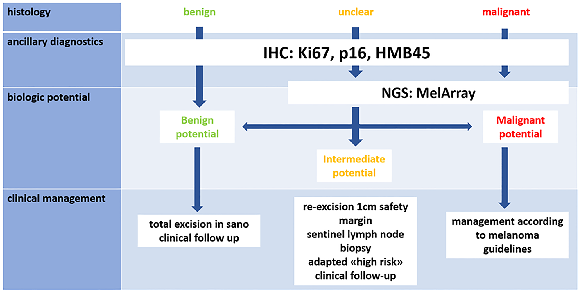 Proposed diagnostic and therapeutic algorithm [2]