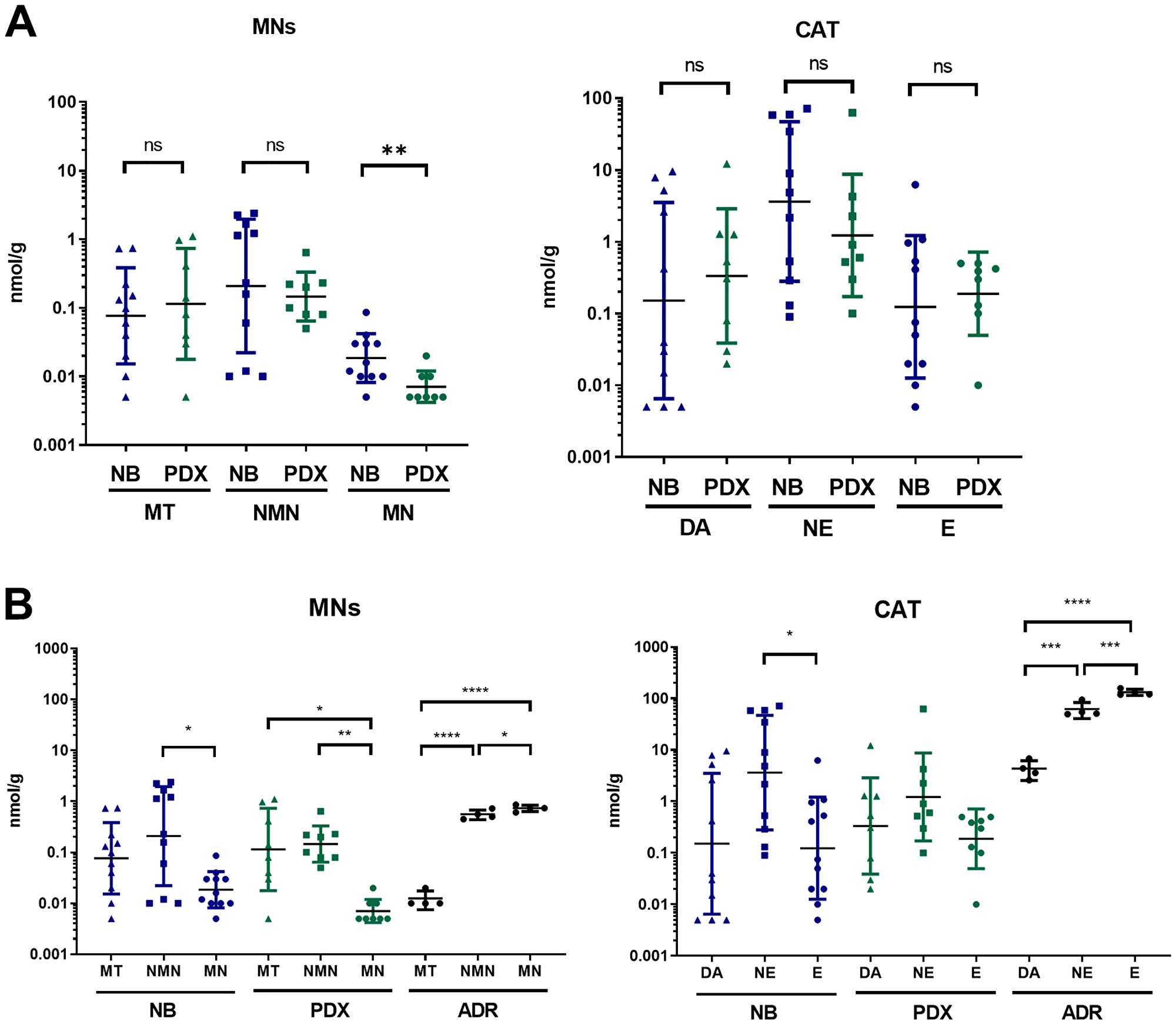 (A) Comparison of free MNs and CAT in tumor tissue of PDX mice (n = 8) and NB biopsy from patients (n = 11). Individual values (nmol/g) and geo mean ± geo SD are plotted on a logarithmic scale. Values under our limit of quantification were set at 0.005 nmol/g which represent half of the lower limit of quantification (LLOQ). Mann Whitney test: **p = 0.0078; (B) Tissue concentration of free MNs and CAT in NB primary tumors (n = 11), NB-PDX (n = 8) compared with adrenal glands (ADR) of control mice (n = 4). Kruskal-Wallis multiple comparison test for NB and NB-PDX, Ordinary one-way ANOVA for ADR: ****p ≤ 0.0001, ***p ≤ 0.0005, **p ≤ 0.005, *p ≤ 0.05, ns comparison are not shown (p > 0.05).