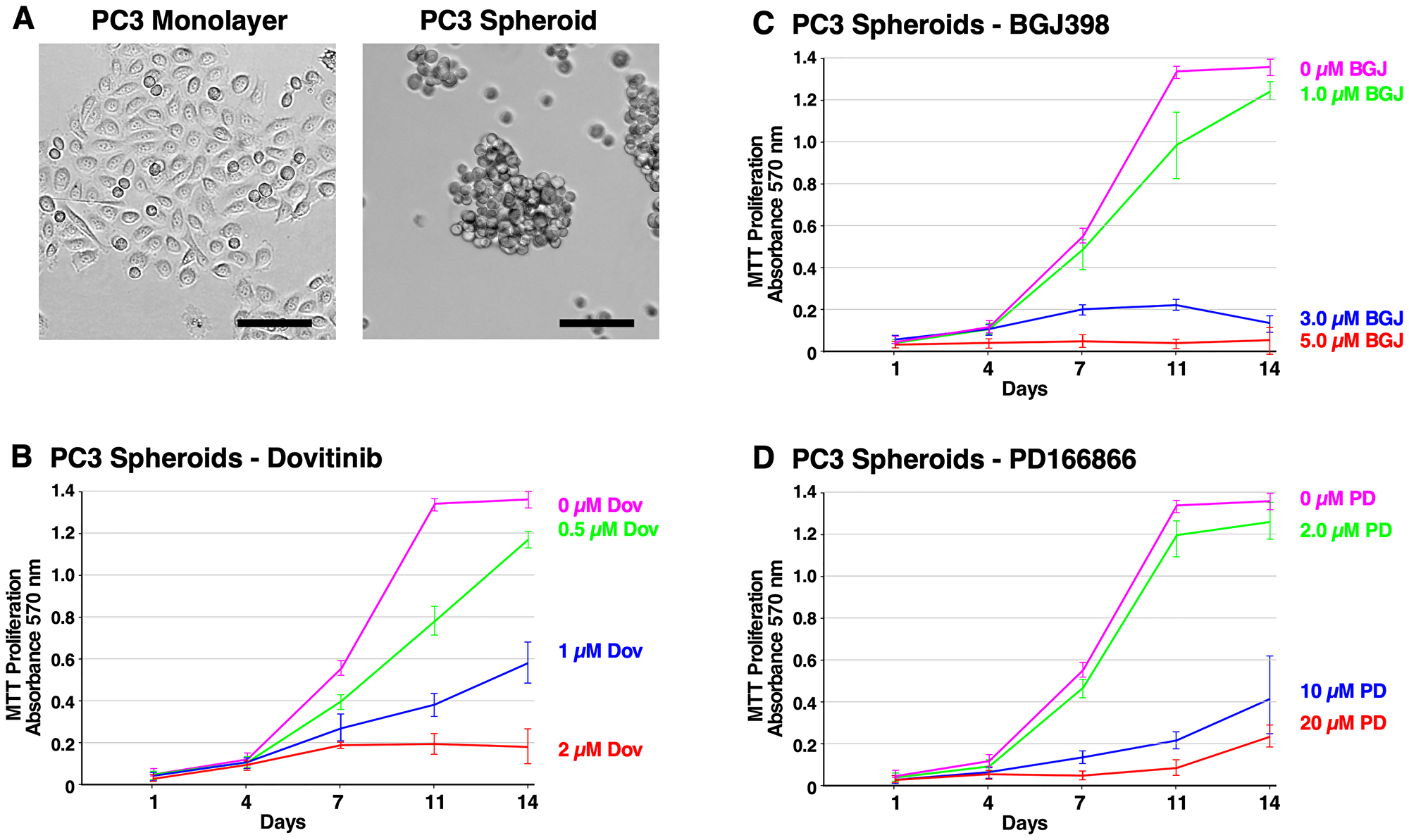 Formation of PC3 spheroids and inhibition of survival and growth via TKI treatment