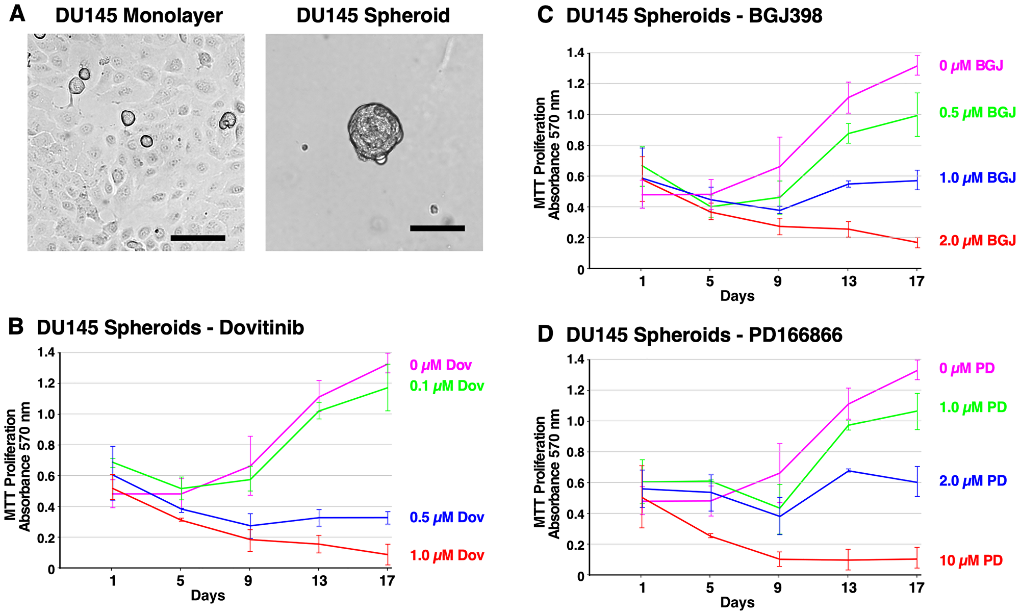 Formation of DU145 spheroids and inhibition of survival and growth via TKI treatment