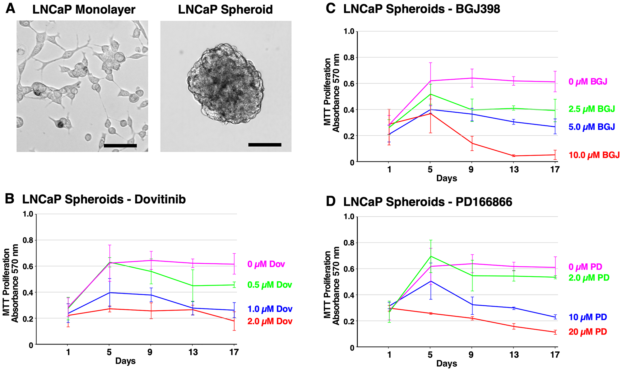 Formation of LNCaP spheroids and inhibition of survival and growth via TKI treatment