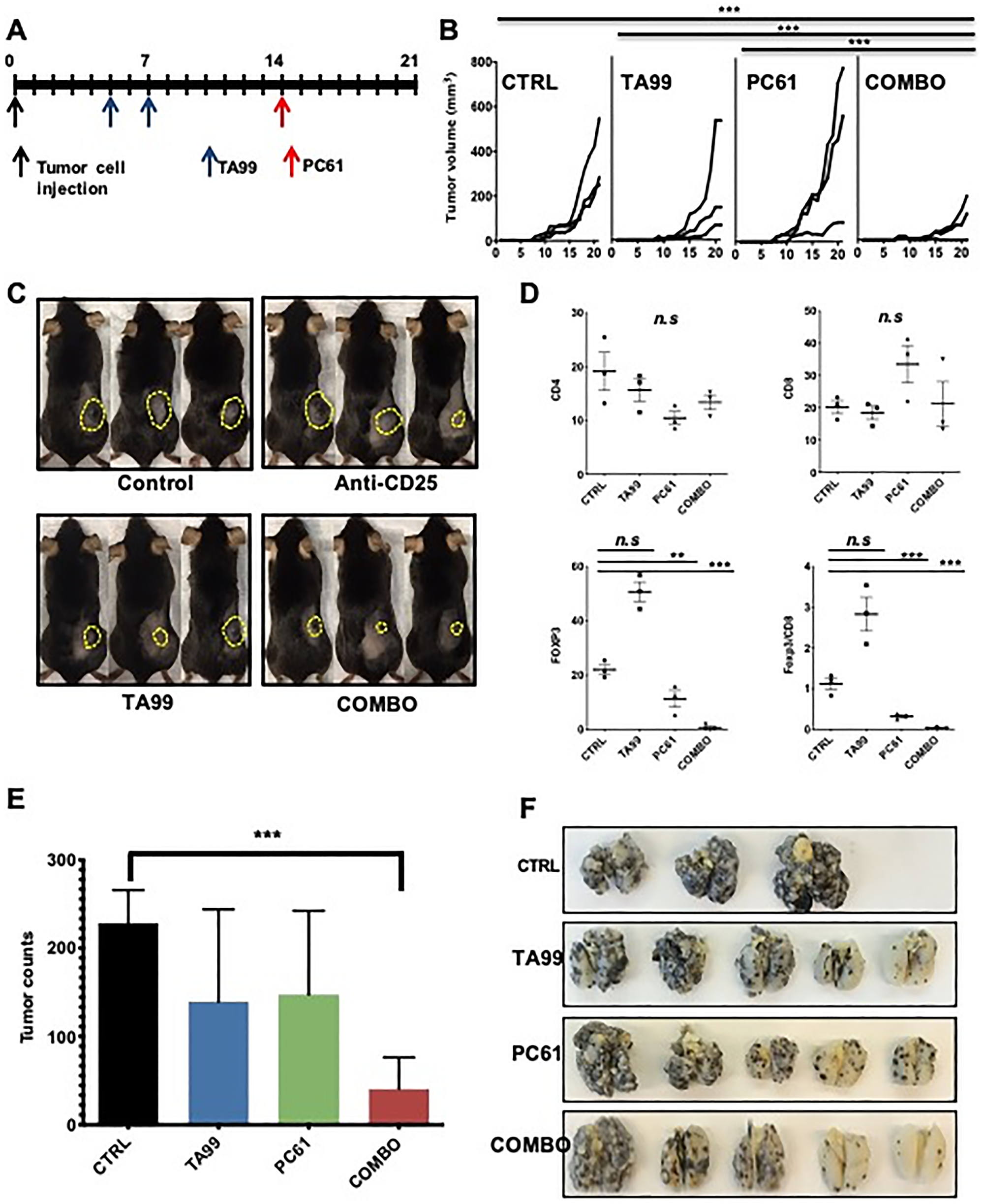 Depletion of Treg cells increased the anti-melanoma effects of TA99 mAb