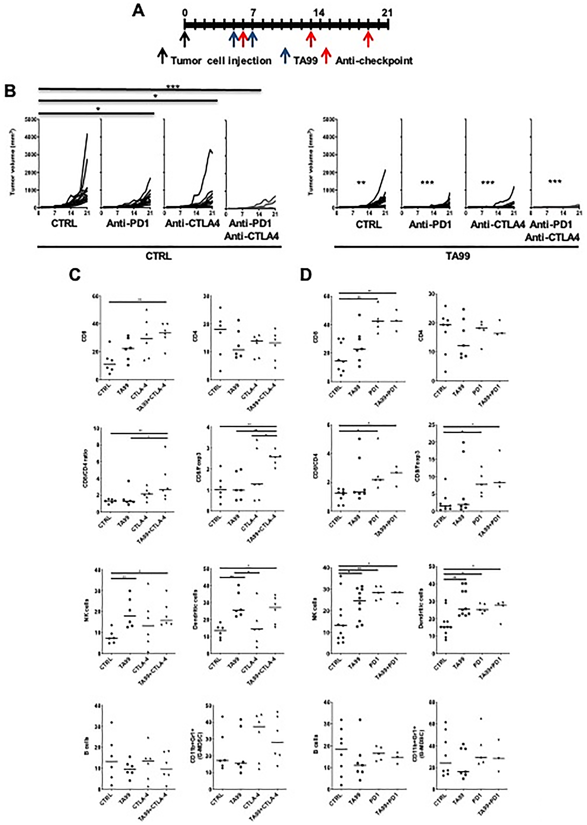 ICB enhanced the anti-tumor efficacy of TA99 in B16 subcutaneous melanoma