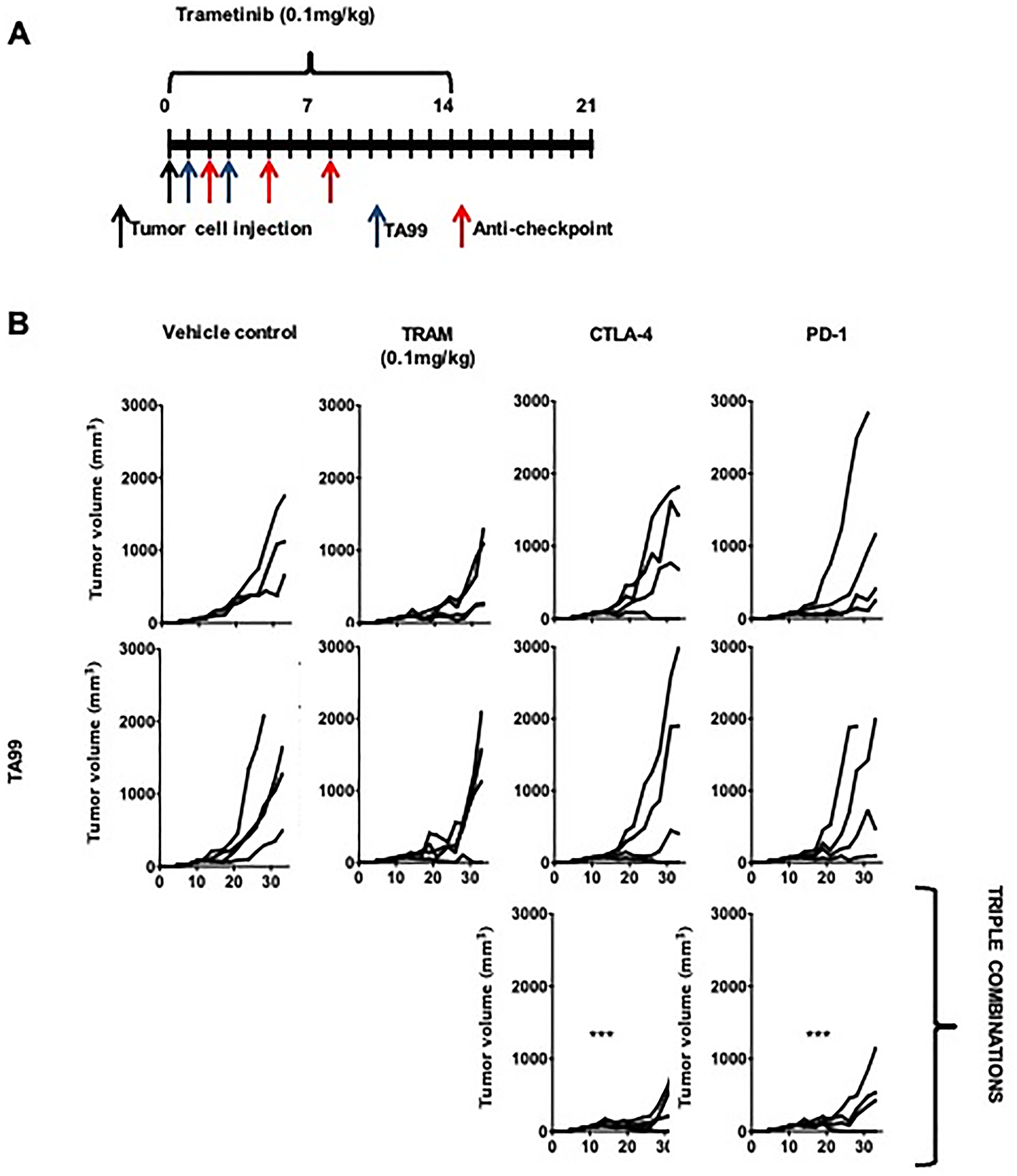 TA99 anti-tumor antibodies improved the outcome of treatment with combined targeted therapy and ICB in BRAFV600E-mutant subcutaneous YUMM melanoma