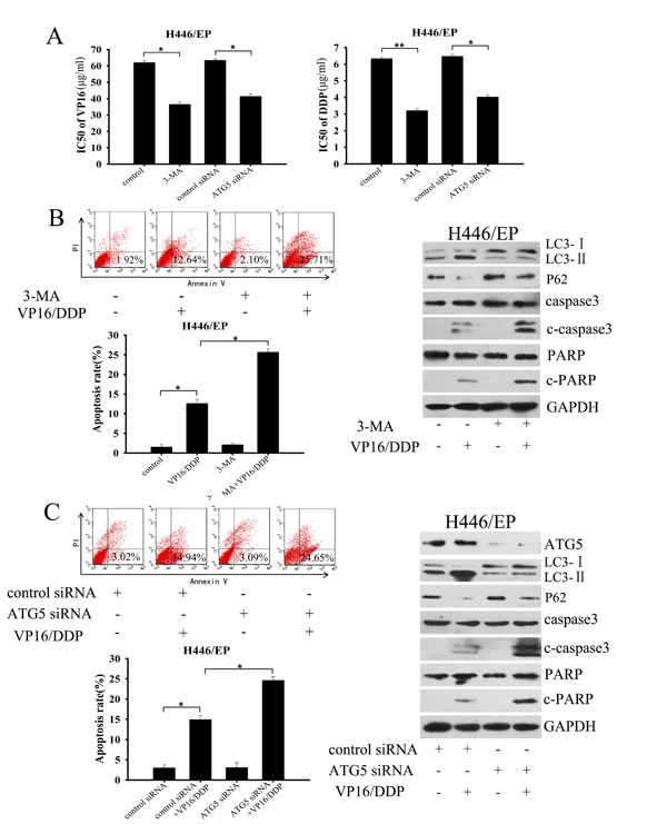 fig3