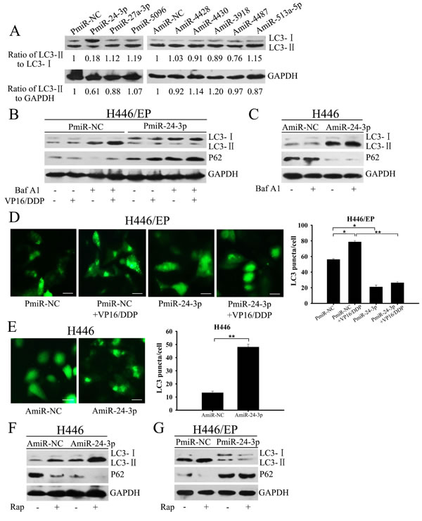 fig4