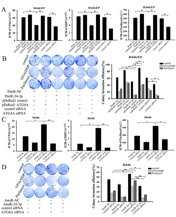 fig6