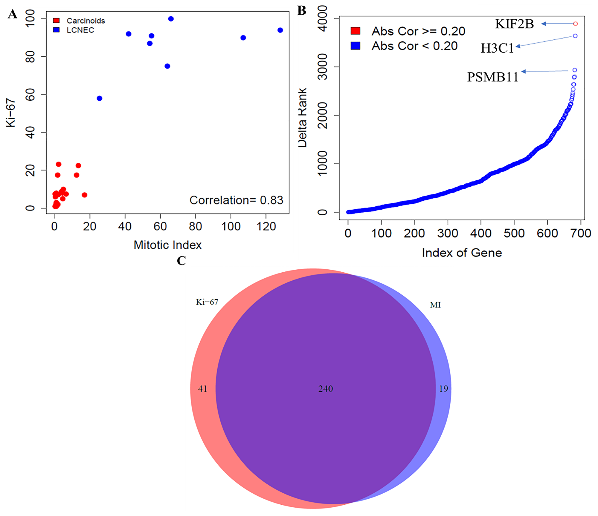 Comparative analysis between mitotic index and Ki-67 in neuroendocrine samples