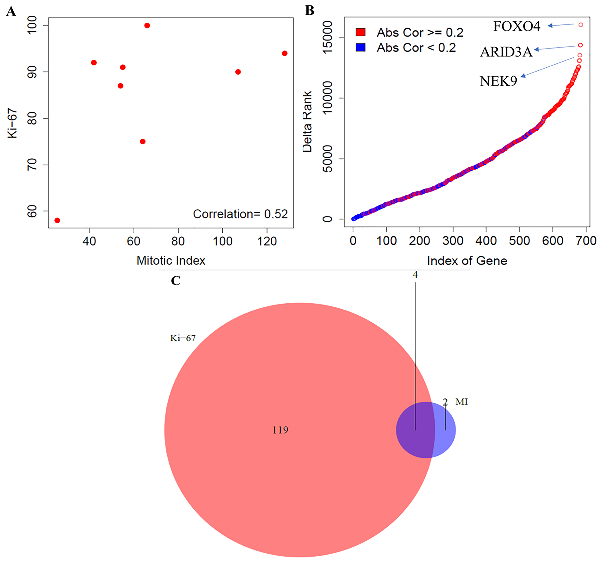 Comparative analysis between mitotic index and Ki-67 in LCNEC