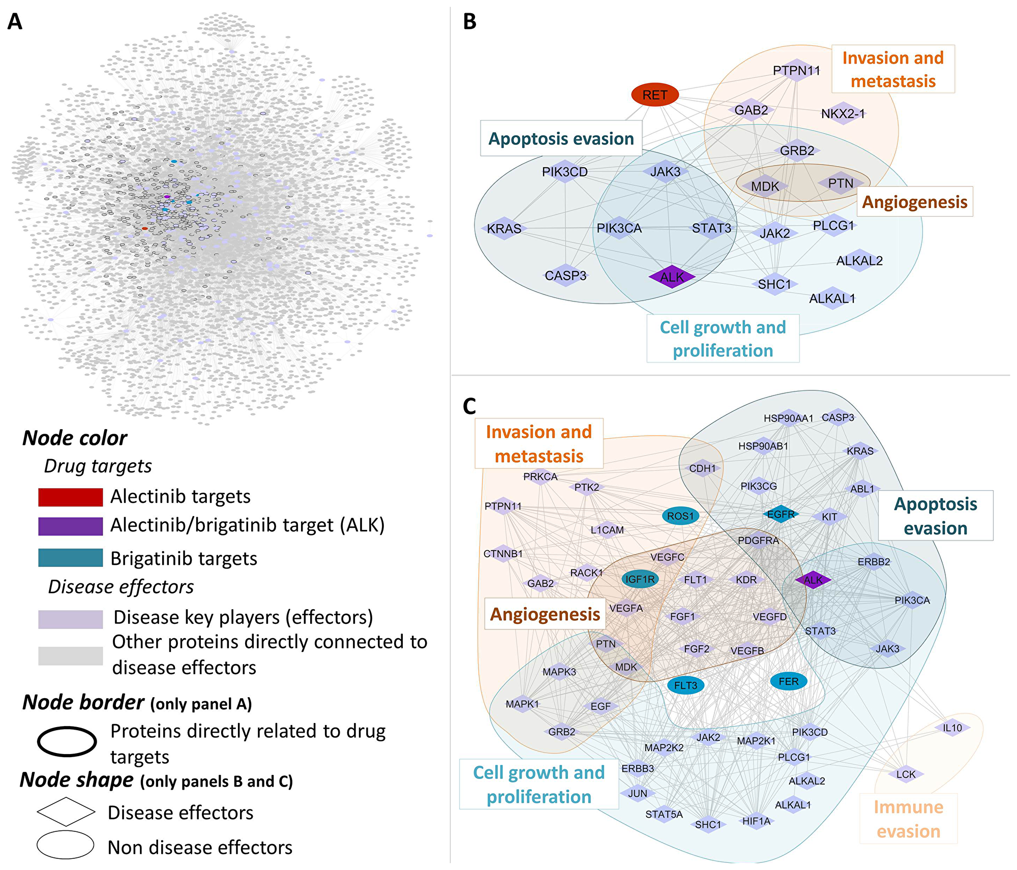 Human protein networks around ALK+ NSCLC molecular pathophysiology