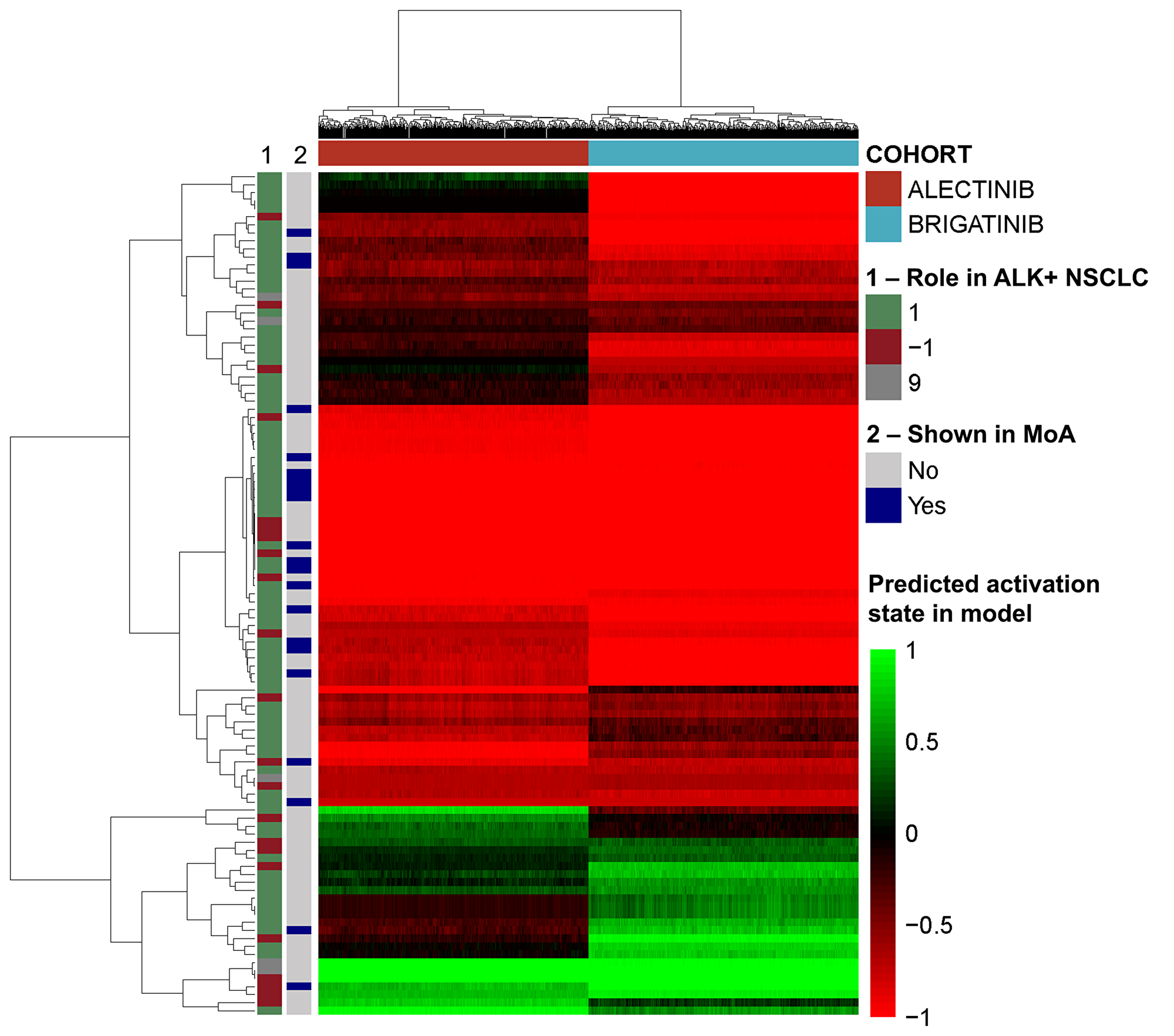 Heatmap of the effect induced by brigatinib and alectinib in each model solution over the effectors of the pathology