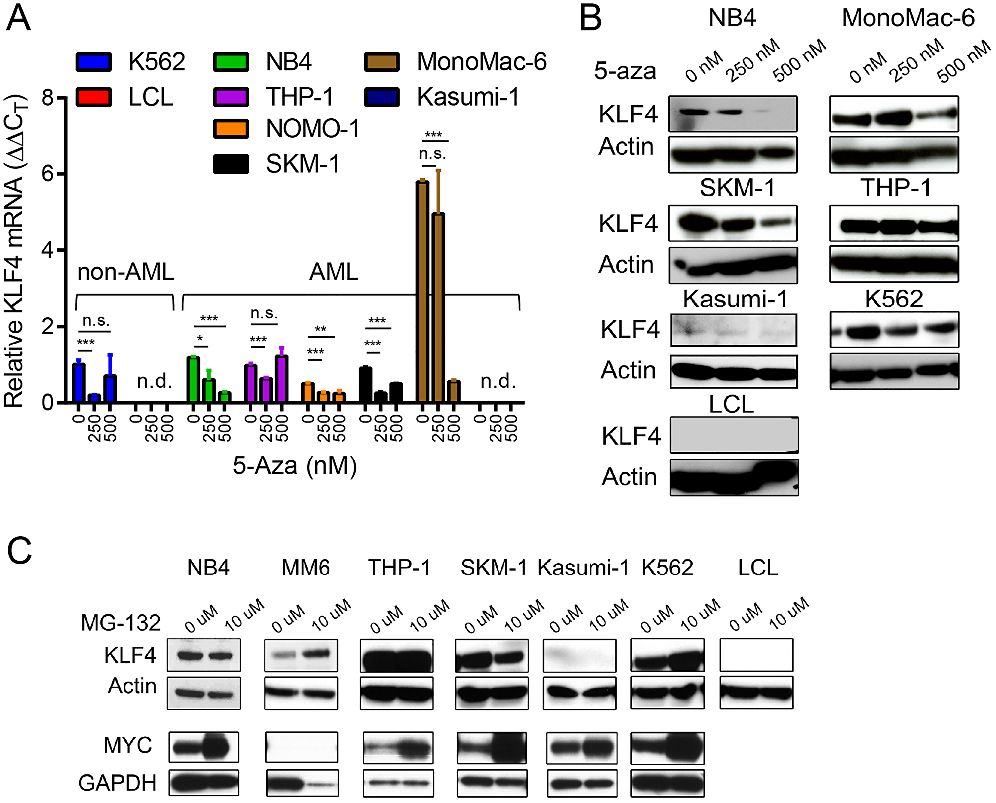 Epigenetic and post-translational regulation of KLF4 in AML cell lines
