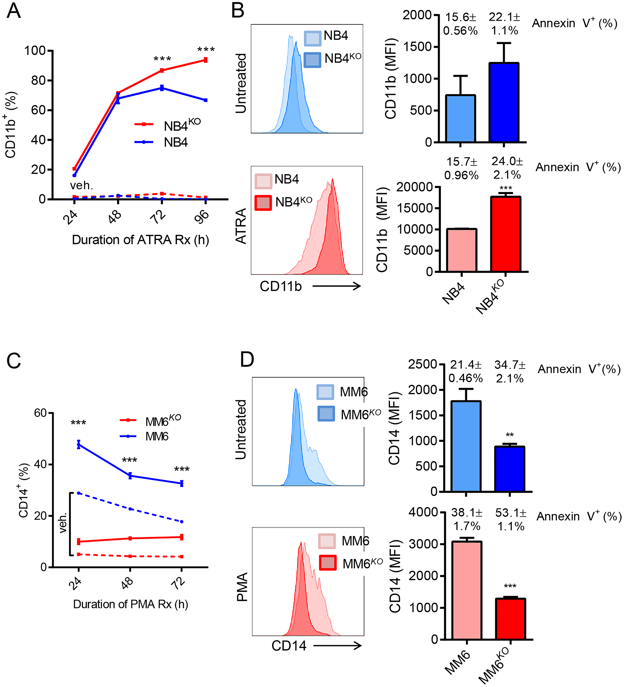 Role of KLF4 in chemical induced differentiation of AML cell lines
