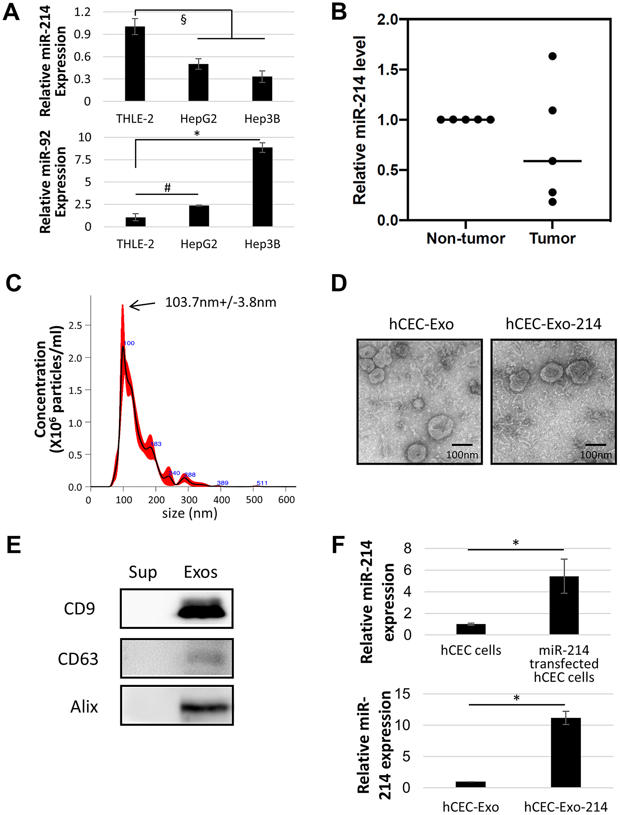 Characterization of miR-214 enriched exosomes