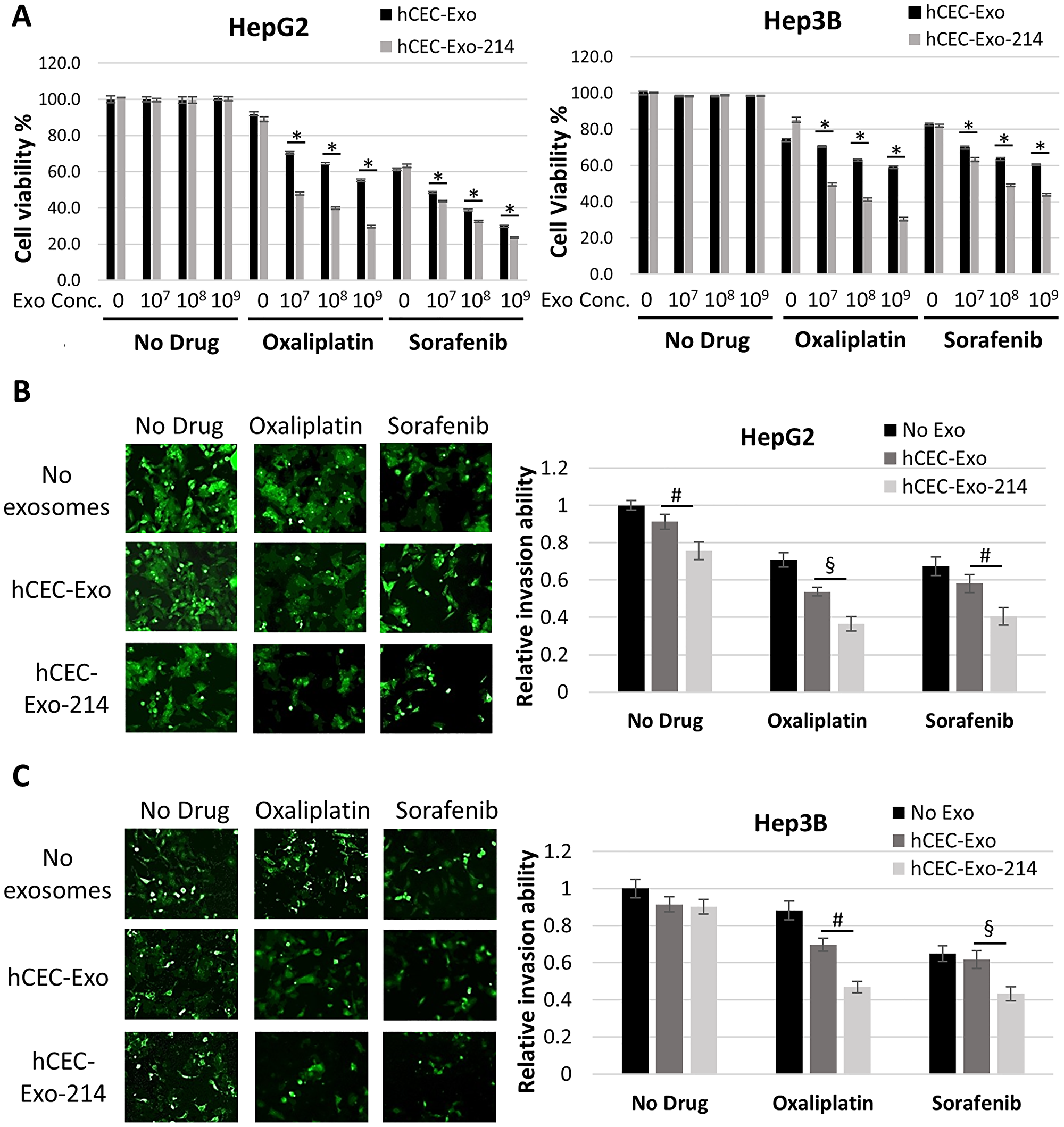 hCEC-Exo-214 sensitize HCC cells to anti-cancer drugs