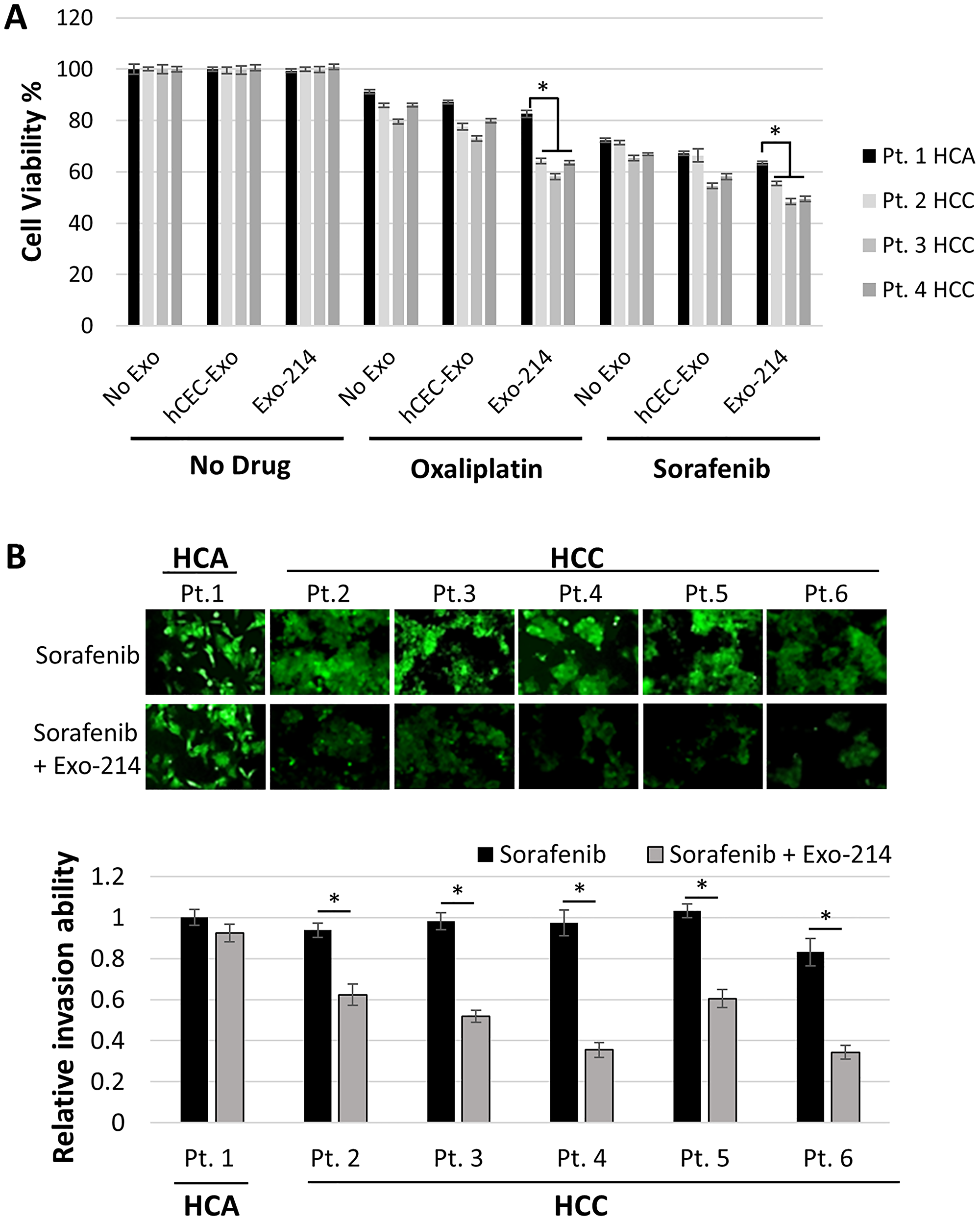 The effect of the combination therapy on tumor primary cells derived from patients with liver tumor