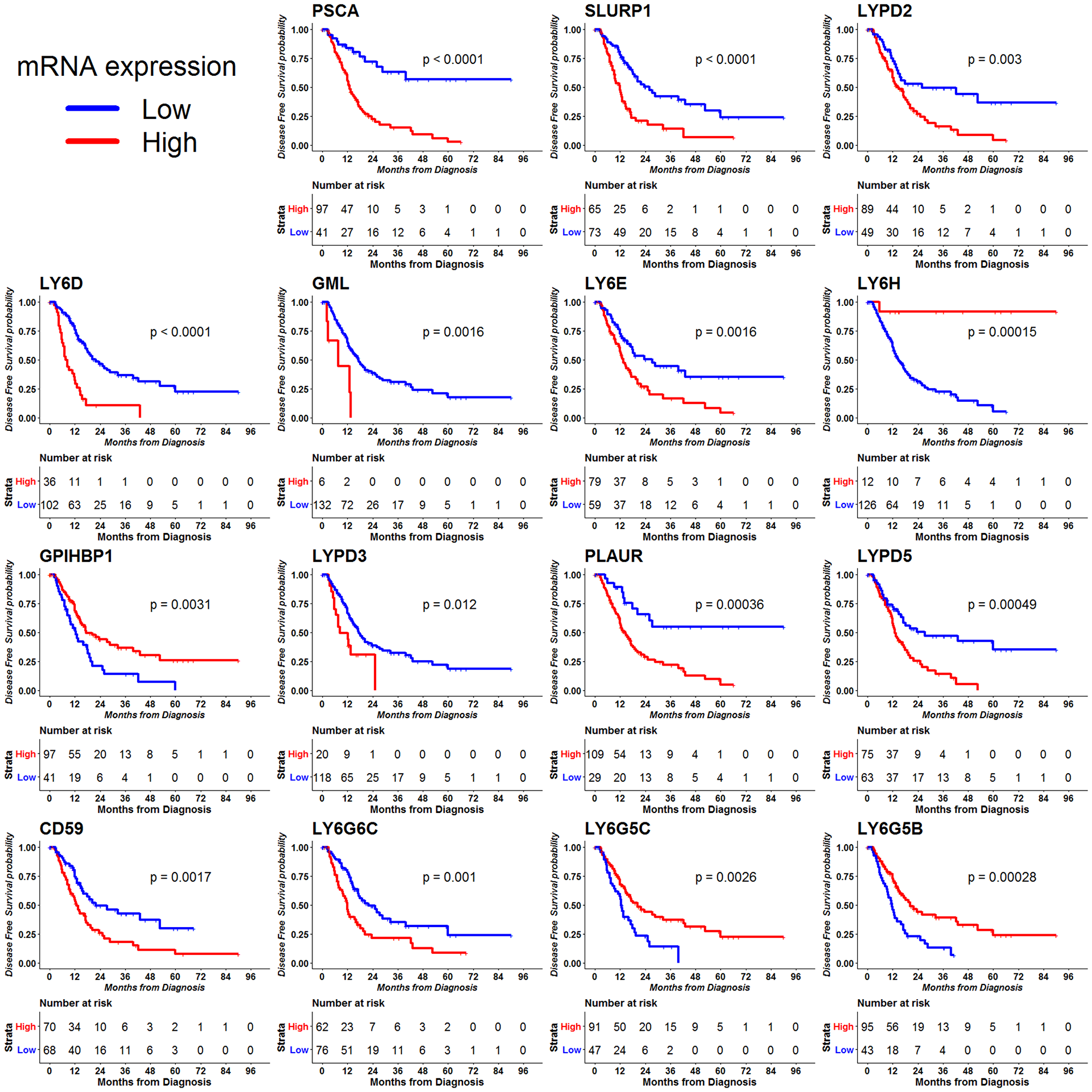 Disease free survival (DFS) outcome for 30 LY6 genes was analyzed using the RNA-seq data using the TCGA data